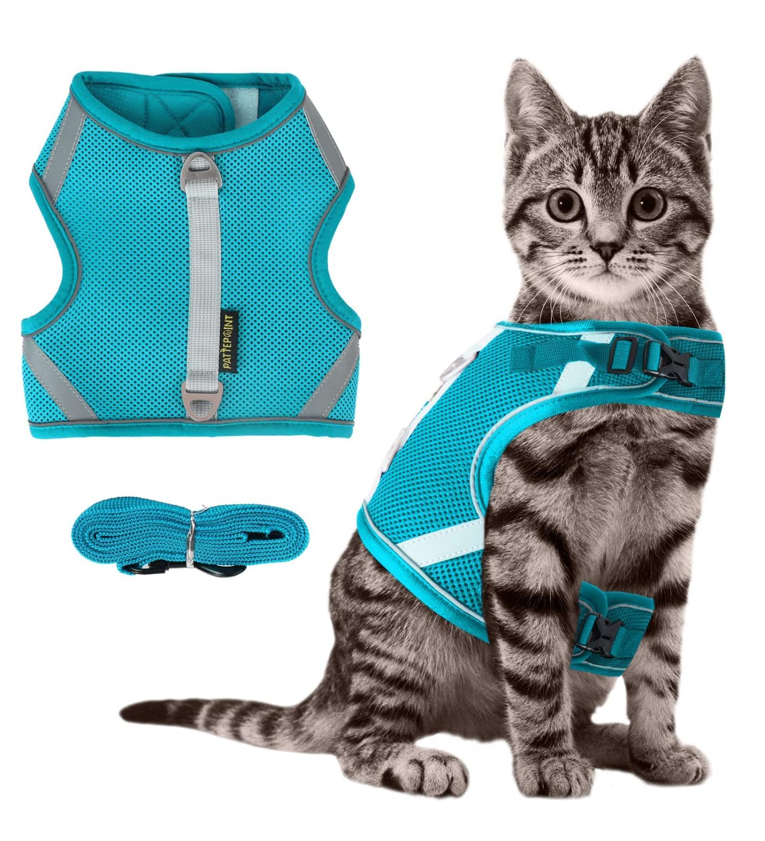 Premium Cat Dishes with Leash | Reflective Cat Patrol Gear for Safe Adventures - Buy Online on GoSupps.com