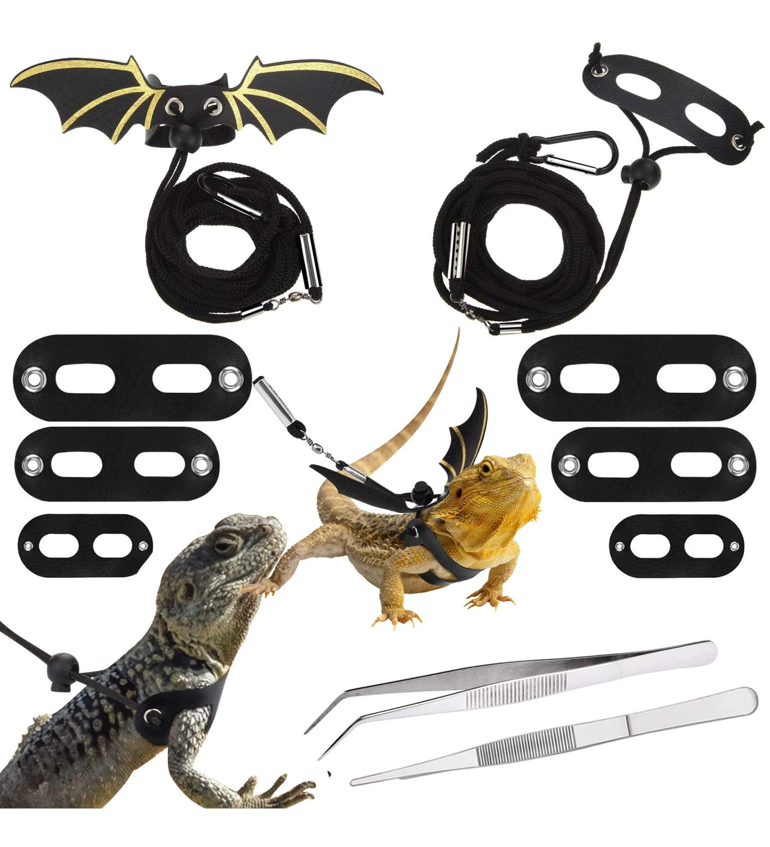 Allazone 4-Piece Adjustable Lizards Pet Leash & Feeding Tongs Set for Reptiles Amphibians & Small Animals - 3 Sizes Available - Buy Online on GoSupps.com