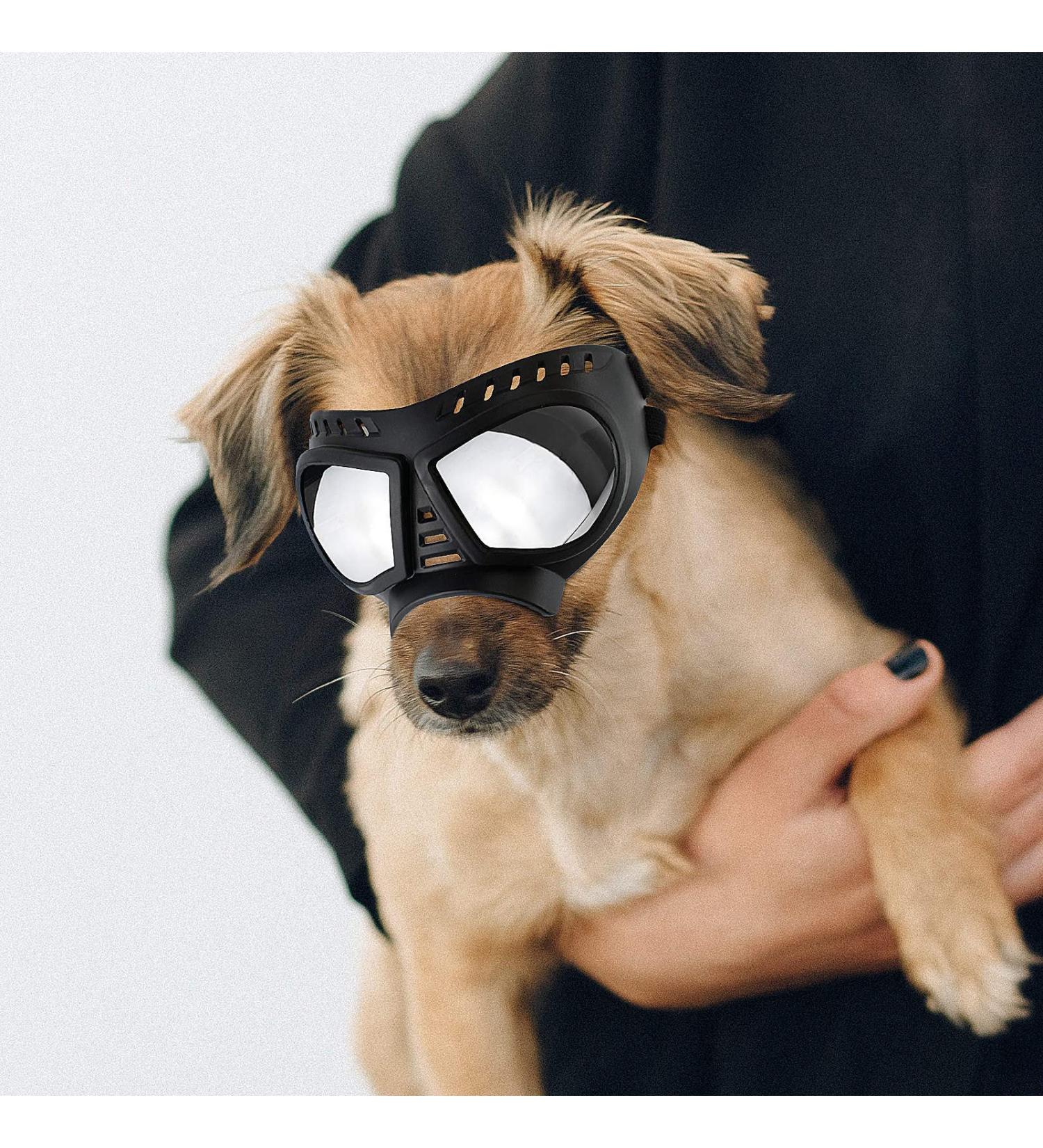 Anti-UV Small Dog Glasses - Soft Motorcycle Goggles for Small to Medium Dogs | Foggy Windproof & Sausage-Proof Protection - Buy Online on GoSupps.com