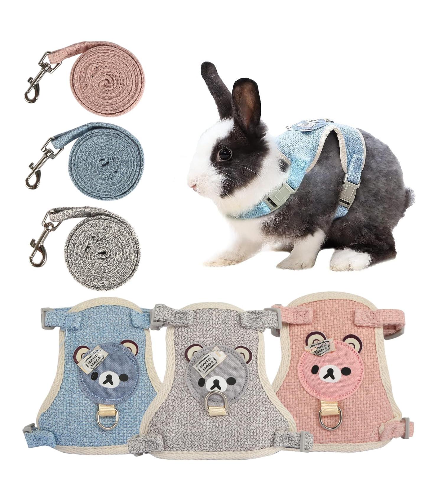 3-Piece Adjustable Rabbit & Cat Leash Set | Durable 120cm Leash & Cat Dishes for Dwarf Rabbits | Ideal for Cats & Small Pets (1-3kg) - Buy Online on GoSupps.com