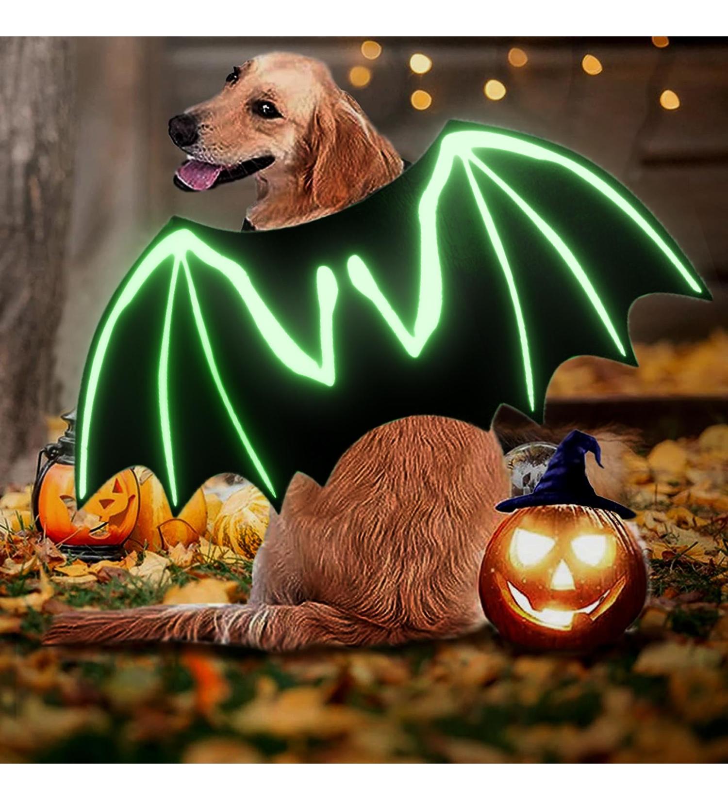 Librnty Bat Wing Dog Costume | Cute Halloween Outfit for Medium Pets | Cosplay & Party Wear - Buy Online on GoSupps.com