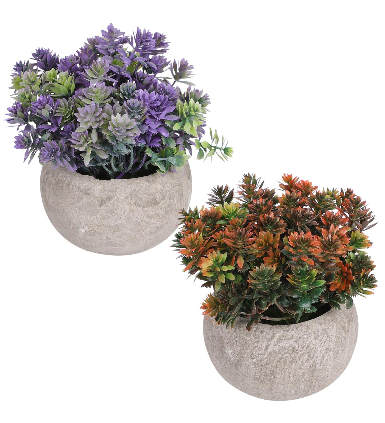 Ciieeo 2pcs Simulated Green Bonsai Artificial Succulents Plants Miniture Decoration Artificial Cactus Small Succulent Plants Silk Plants Greenery Decor Accessories Office Foam Nordic - Buy Online on GoSupps.com