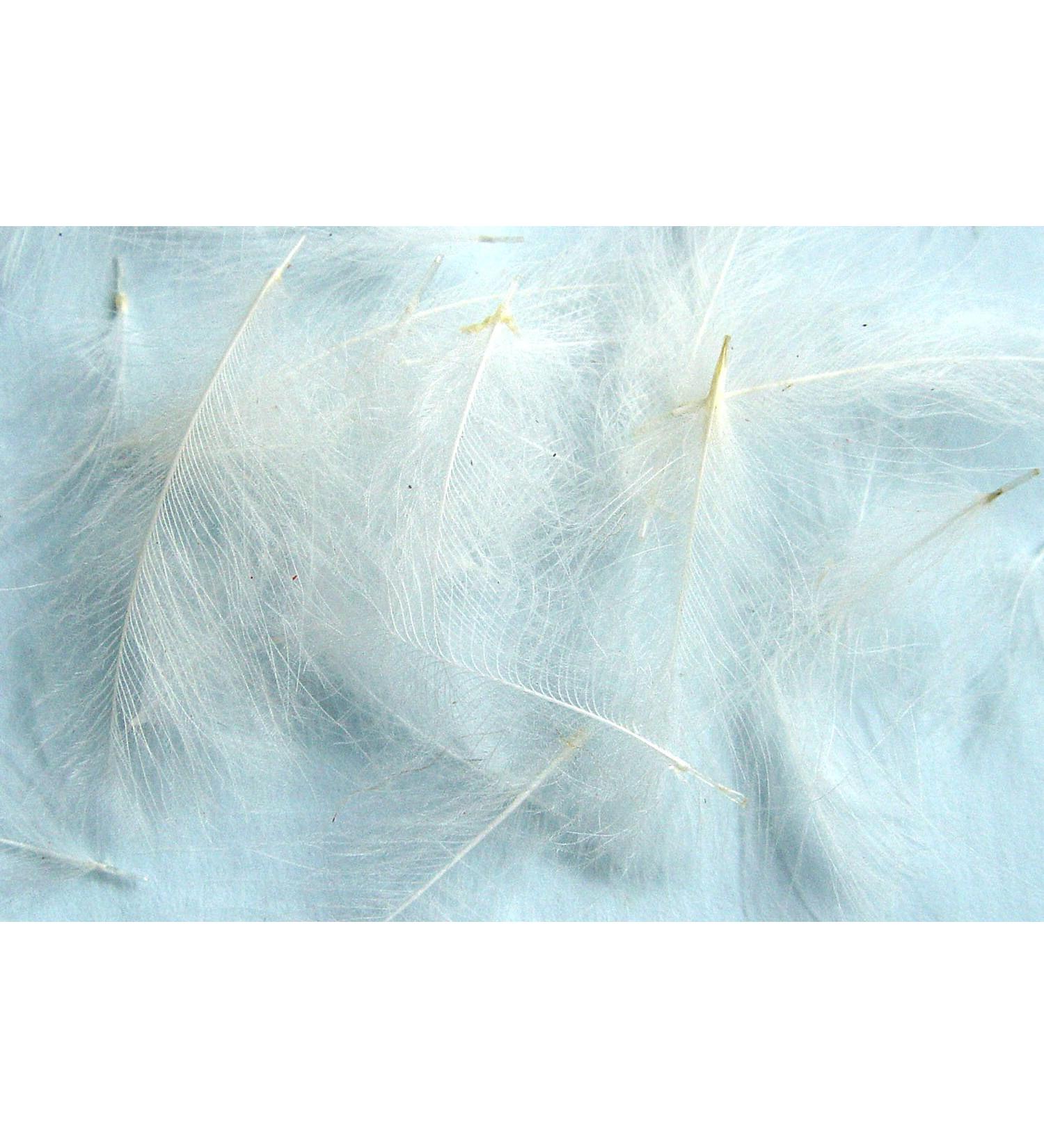 Pechetruite 1g - CDC (Cul de Canard) Feathers - NATURAL WHITE/Natural White - For Fly Tying