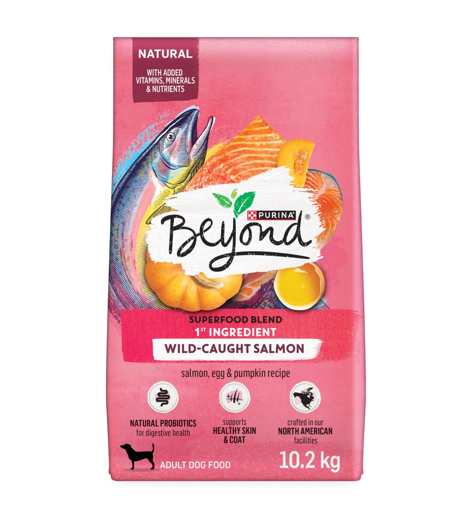 Beyond Superfood Blend Natural Dry Dog Food Wild Caught Salmon Egg & Pumpkin - 10.2 kg Bag 10.2 kg (Pack of 1) Dog Food - Buy Online on GoSupps.com