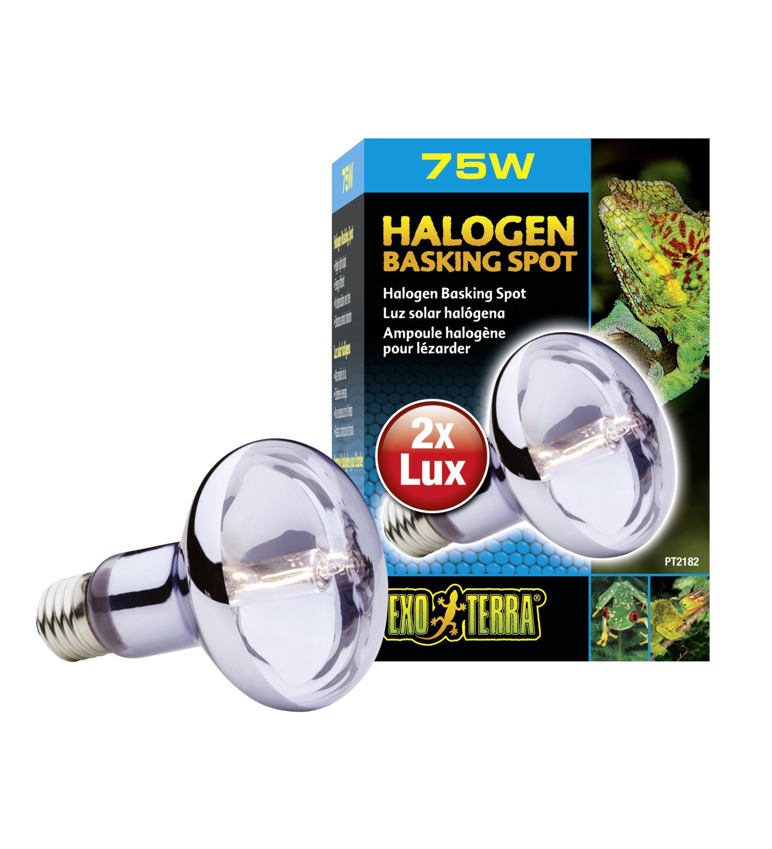 Exo Terra Halogen Basking Spot 75W - Broad Spectrum Daylight Lamp E27 Socket - 1 Pack for Reptiles & Amphibians - Buy Online on GoSupps.com