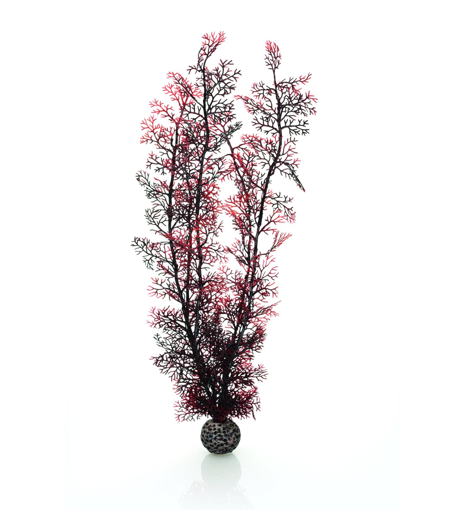 Buy Biorb 46075 XL Horn Coral - Dark Red Aquarium Decoration | Easy-to-Clean Natural Plastic for Freshwater & Saltwater - Buy Online on GoSupps.com