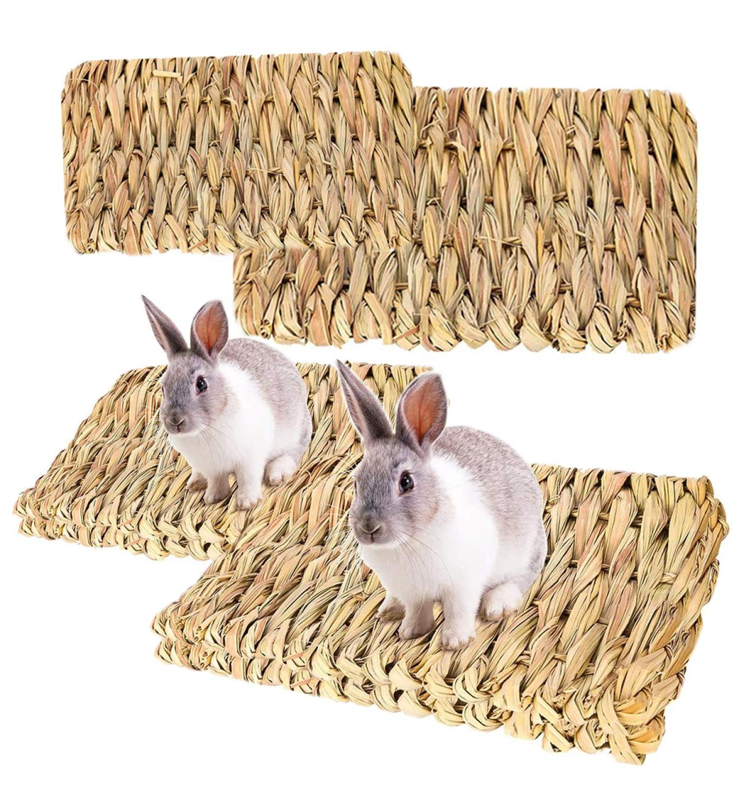 Roadloo Small Pet Grass Mat - 4 Edible Natural Grass Mats for Rabbits Guinea Pigs Rats Parrots & Ferrets | Safe & Fun Animal Toy - Buy Online on GoSupps.com