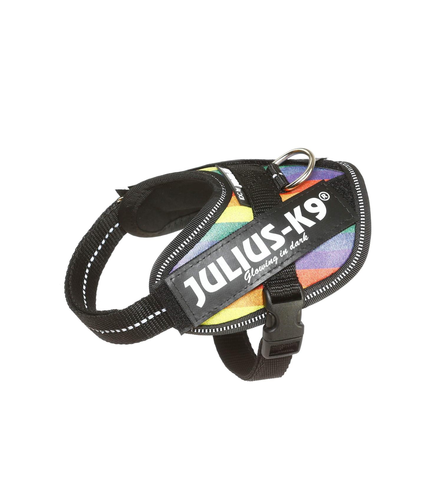 Buy IDC Powerharness 2XS/Baby 2 in Rainbow Faux Leather - International Shipping Available - Buy Online on GoSupps.com
