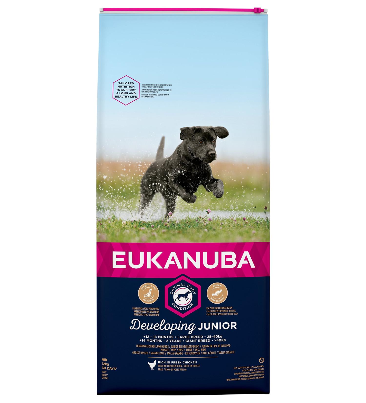 Eukanuba Dog - Developing Junior - Large Breed - 12 kg - Buy Online on GoSupps.com