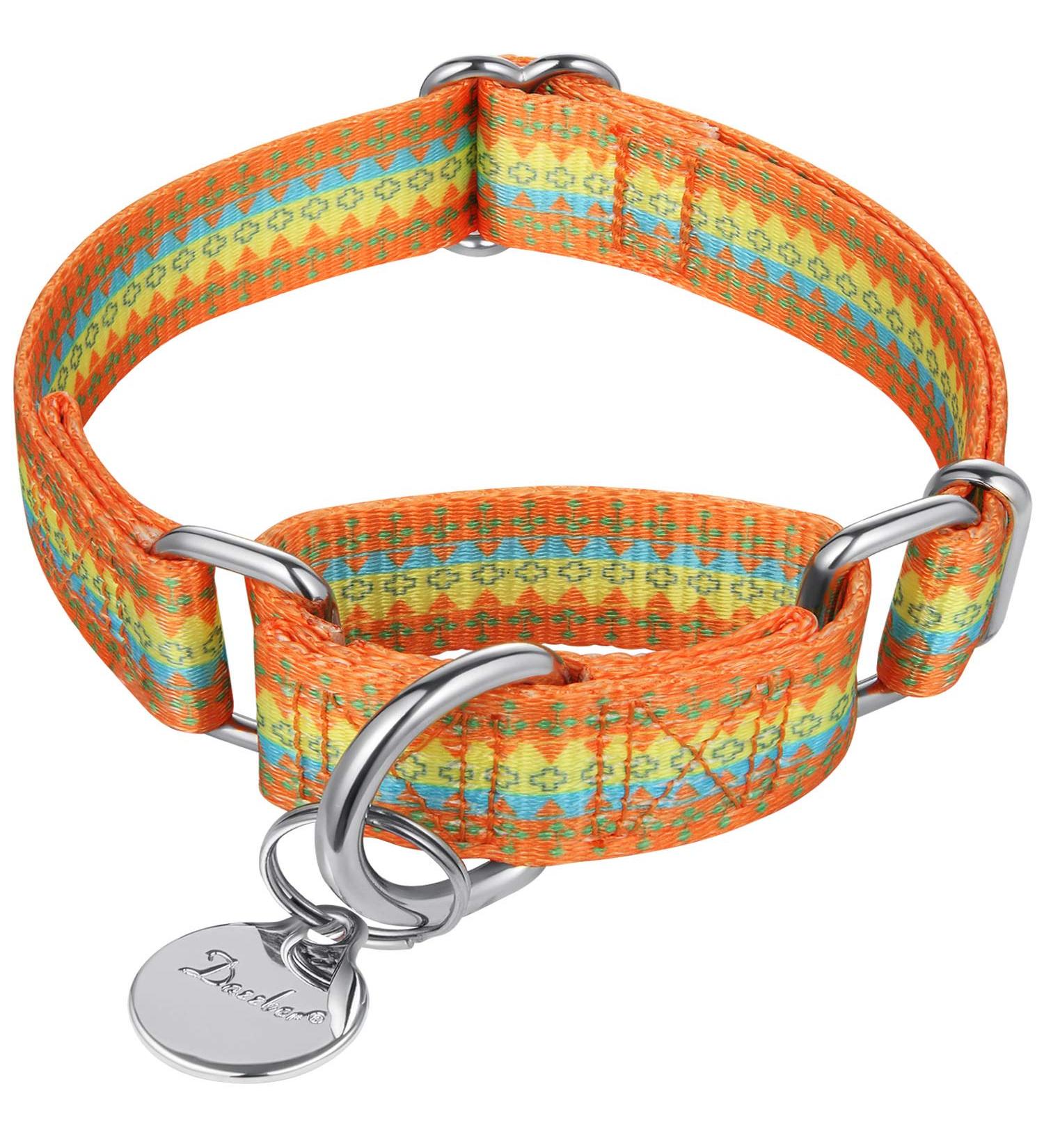 Dazzber Martingal Collars for Dogs | Adjustable Heavy-Duty Soft Smooth | Large/Small | 2.5cm Wide | Orange & Yellow - Buy Online on GoSupps.com