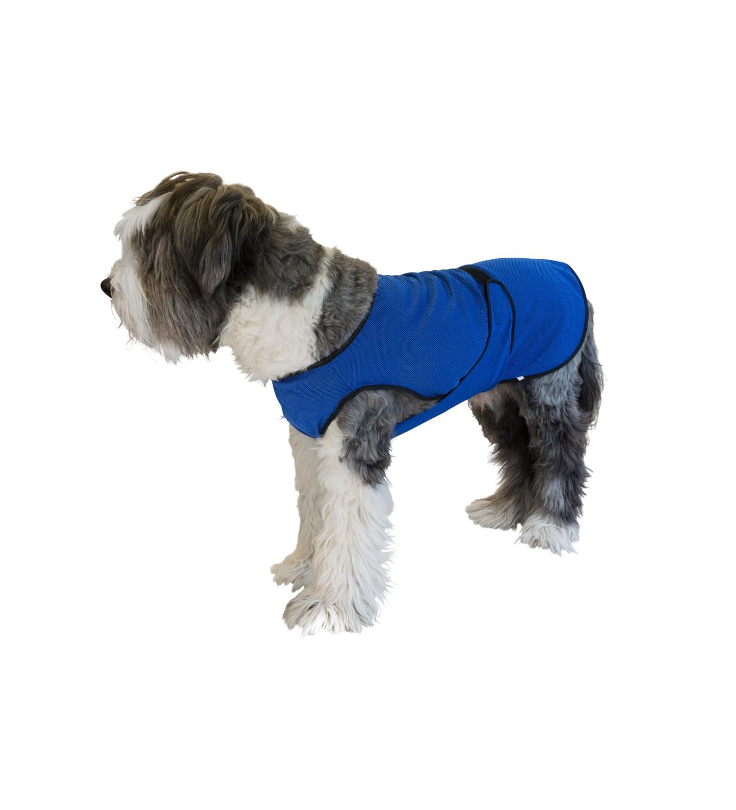 Lightweight Cooling Jacket for Dogs - Size L Blue | Perfect for Movement & Comfort - Buy Online on GoSupps.com
