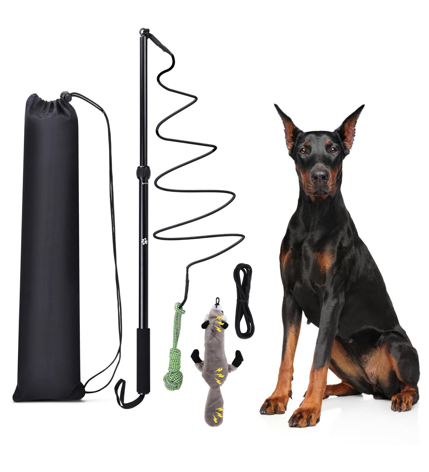 KOXXUD Dog Toy for Big & Small Dogs - Martin R tter Professional Charm for Fun & Exercise | International Shipping Available - Buy Online on GoSupps.com