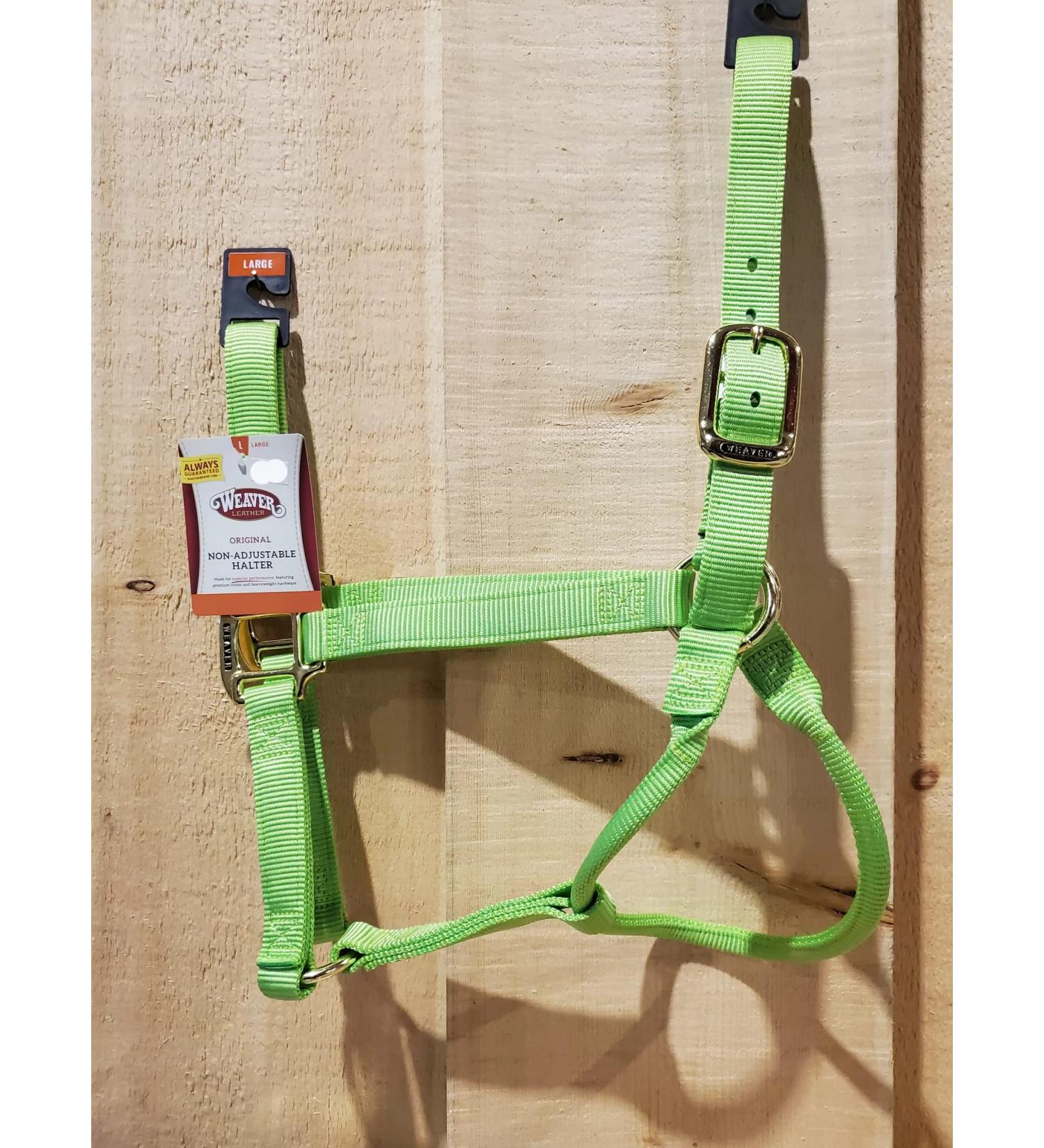 WEAVER Leather Non-adjustable Halter Pistachio Green Average
