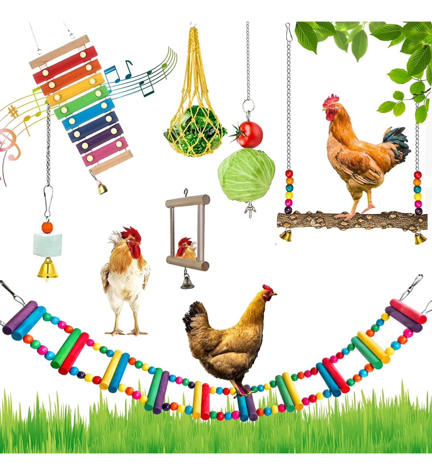 7-Pack Chicken Toys Set: Xylophone, Bridge Swing, Mirror, Pecking Toys & Vegetable Feeder for Coop - Buy Online on GoSupps.com