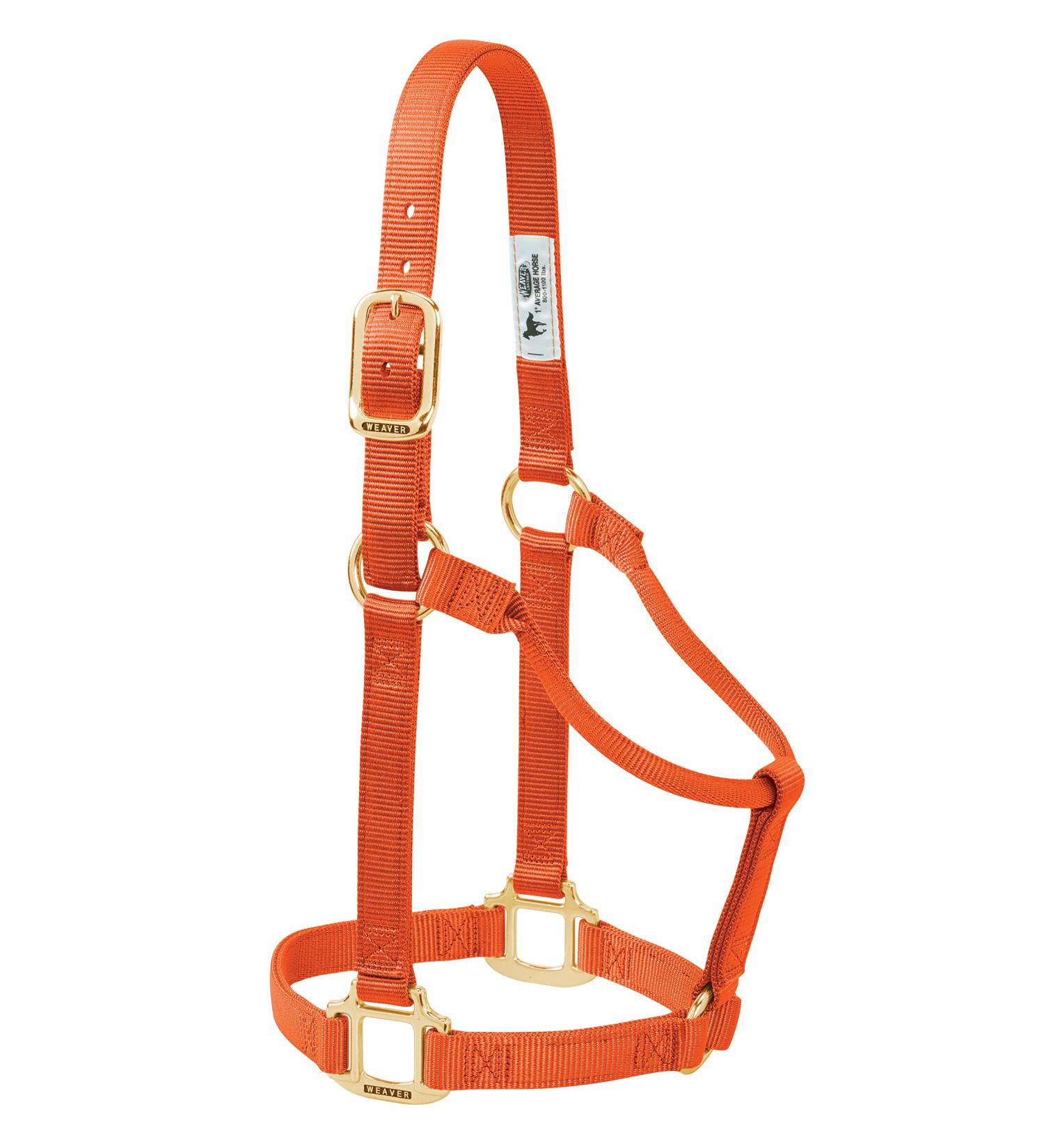 WEAVER Leather Non-adjustable Halter Orange/Sunset Chevron Average Horse
