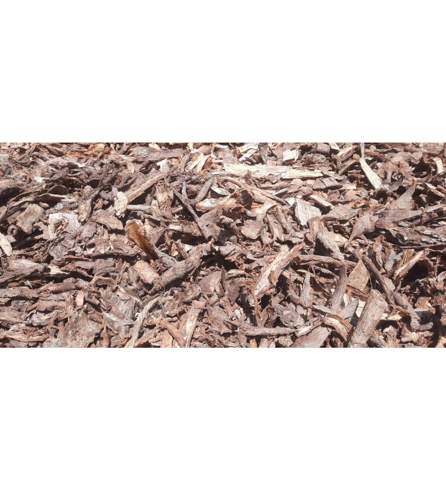 vinarghya Khandu Chakka Chhal/Ovate-Leaved Ivory Wood/Vadhavaradi/Bhairi/Chamror/Kalo Gamdo/Caranti/Datrangi/Ajaanvruksha/Ehretia Laevis / 100 g