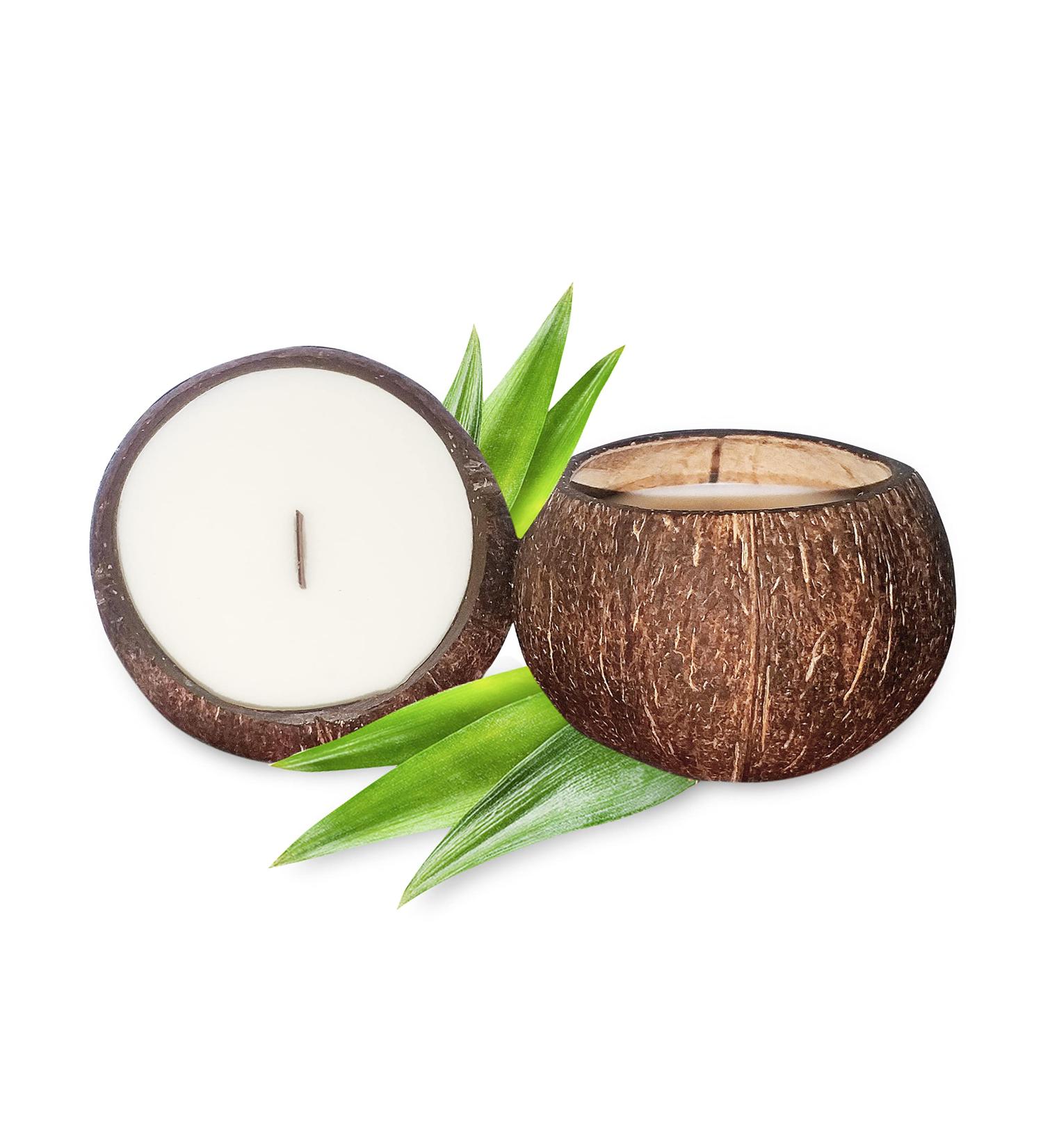 Coconut Bowl Candle - 14oz Premium Soy - Eco-Friendly Coconut Scented Candle in Natural Shell - Ideal for Home & Beach D cor - Aromatherapy Experience - Buy Online on GoSupps.com