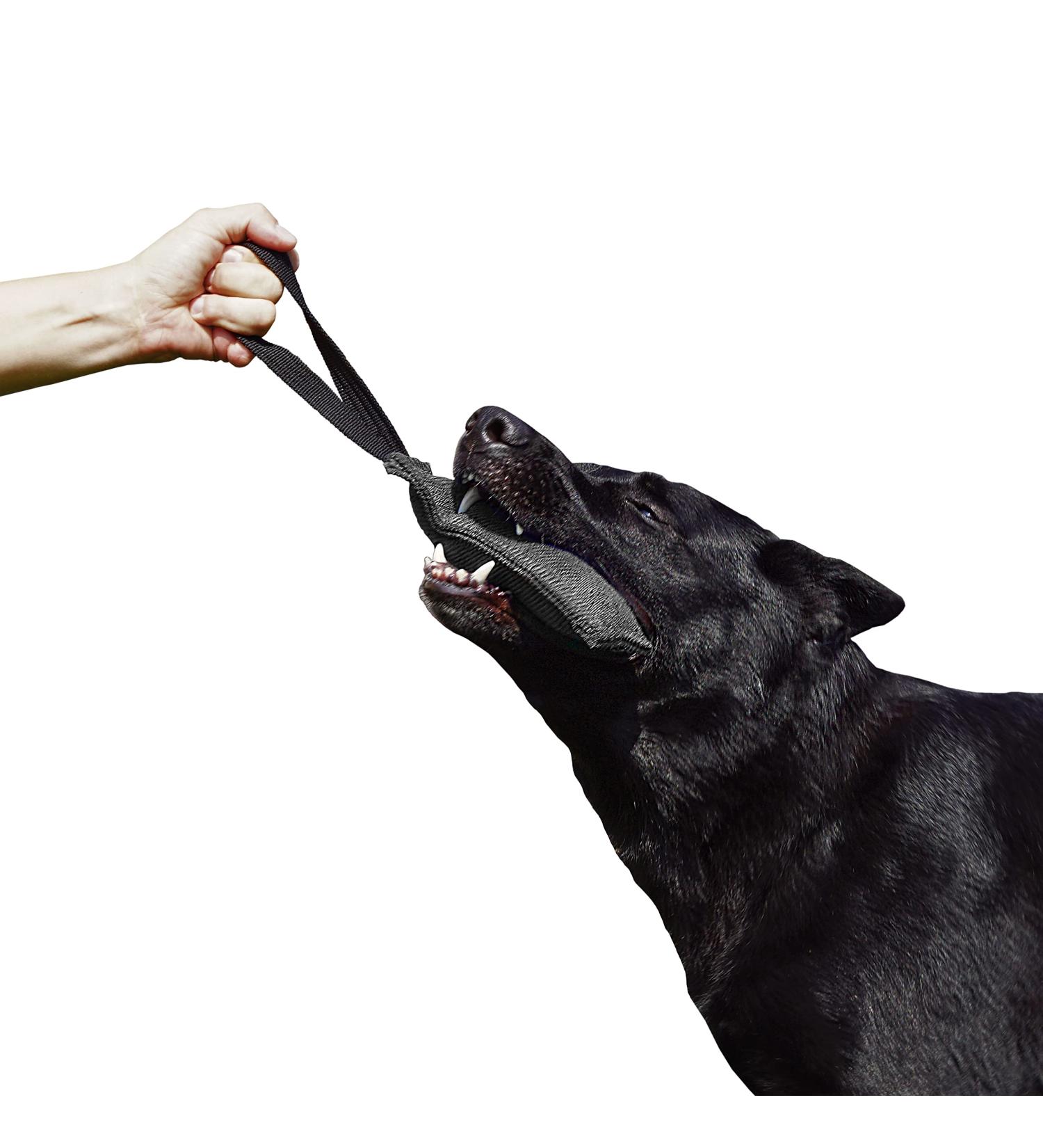 Dingo Gear Cotton Nylon Bite Sausage for Dog Training - IGP IPO Obedience Protection Sport - 20x7 cm Black (S00069) - Buy Online on GoSupps.com