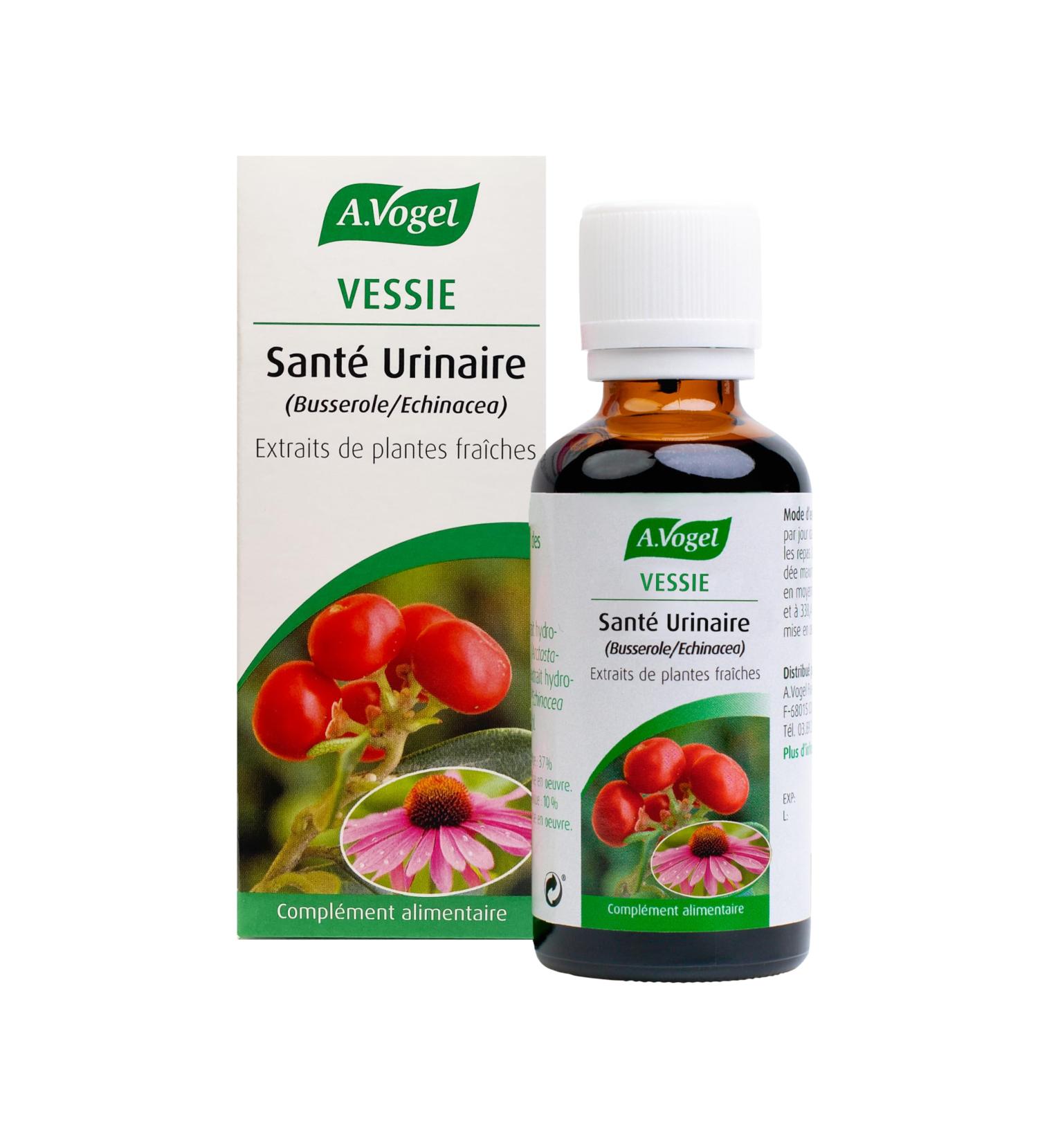 A.VOGEL - Urinary health - Fights against urinary infections cystitis - Urinary comfort - Bearberry extract and fresh Echinacea - 100% natural and organic plant active ingredients - 50 ml - Buy Online on GoSupps.com