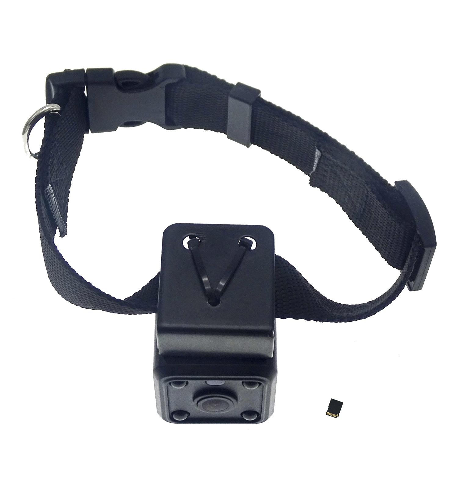 32GB Digital Pet Collar Dog Cam DVR Video Recorder with Monitor - Black (TF Card Included) - Buy Online on GoSupps.com