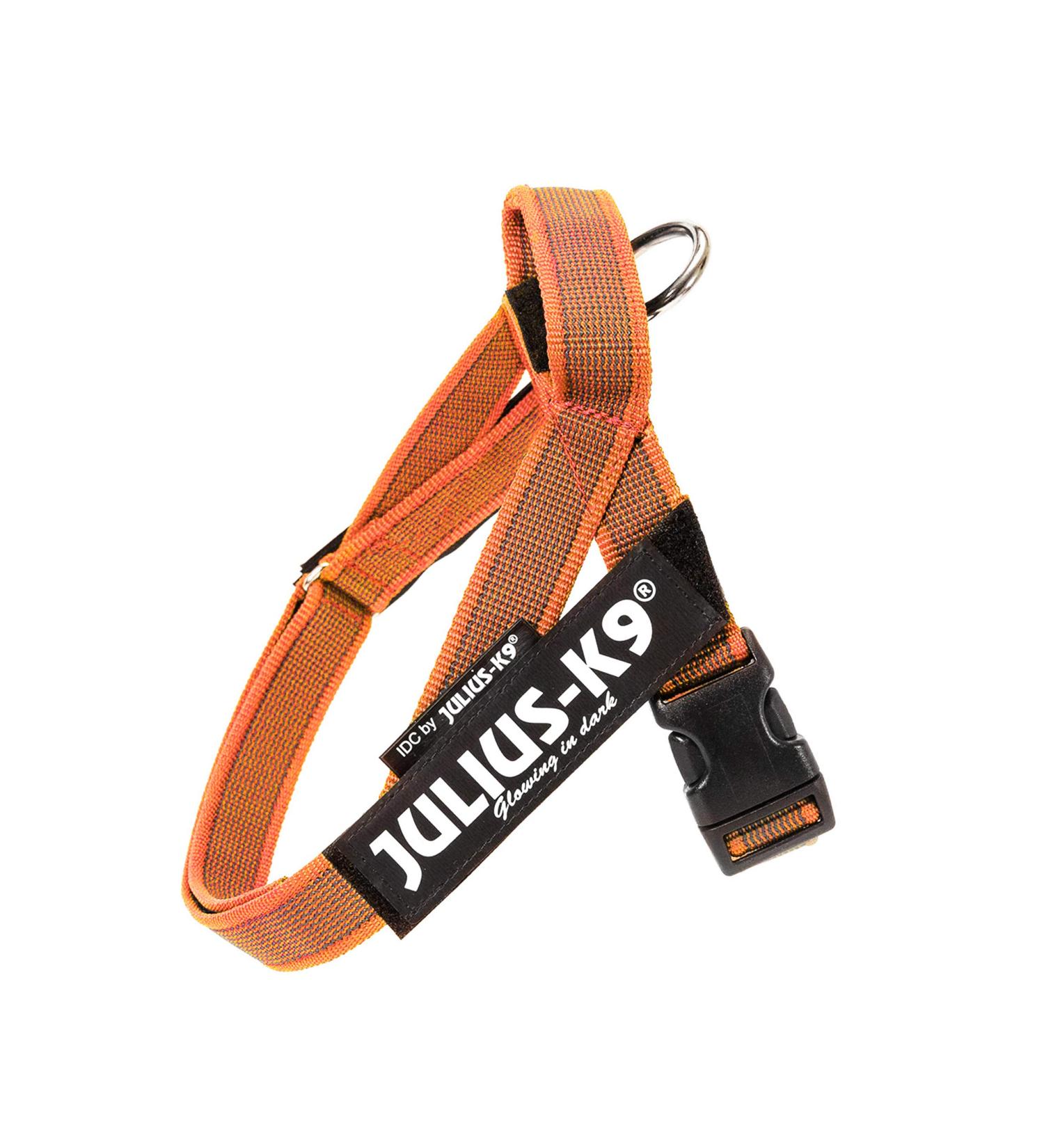 Julius-K9 XS/Mini-Mini Orange-Grey Belt Harness | Durable Stylish Dog Gear for International Shipping - Buy Online on GoSupps.com