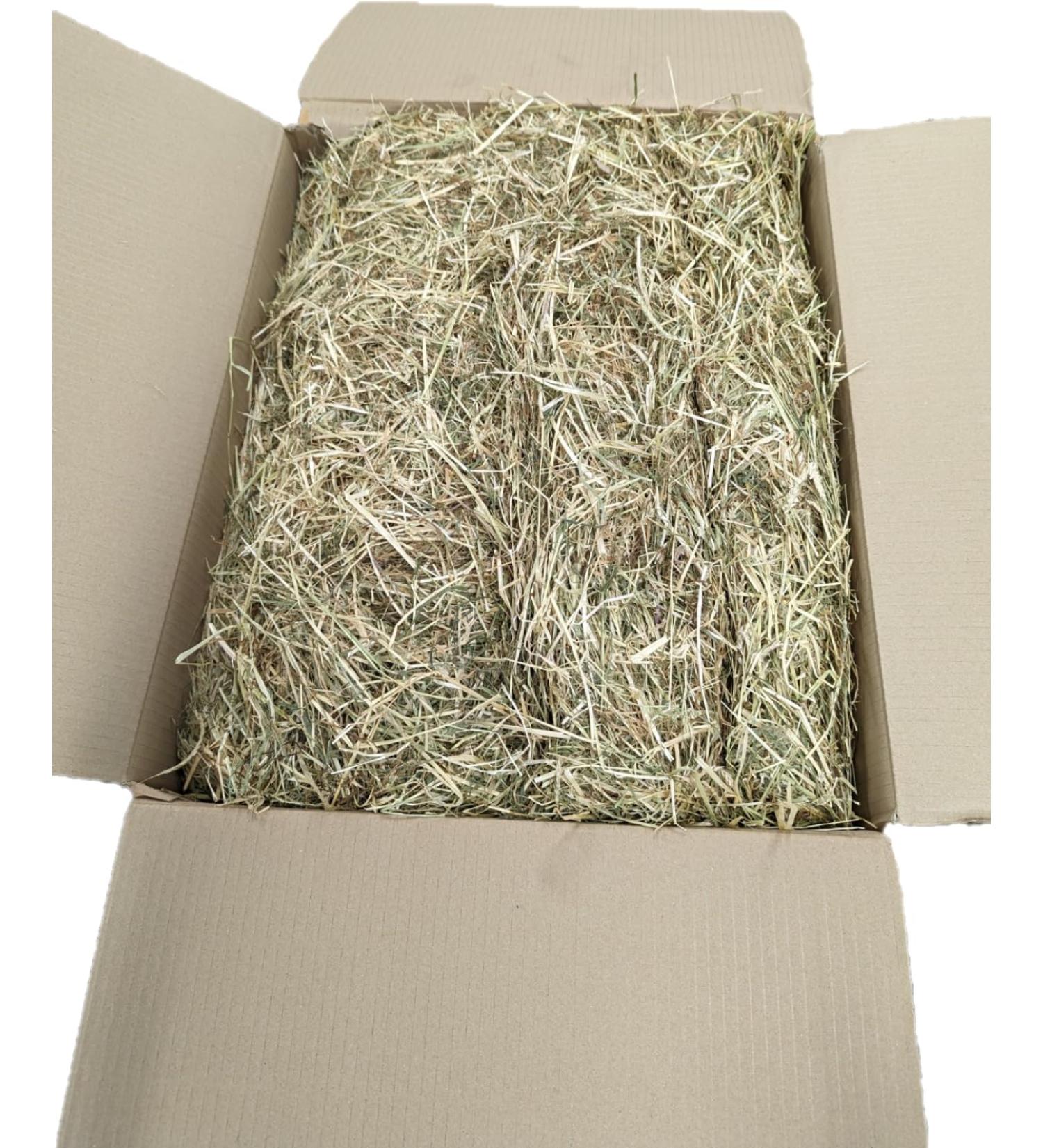 Haysoft Timothy Hay - 5KG Box - Animal Feeding Hay Box for Rabbits Guinea Pig Horses Hamsters Ponies