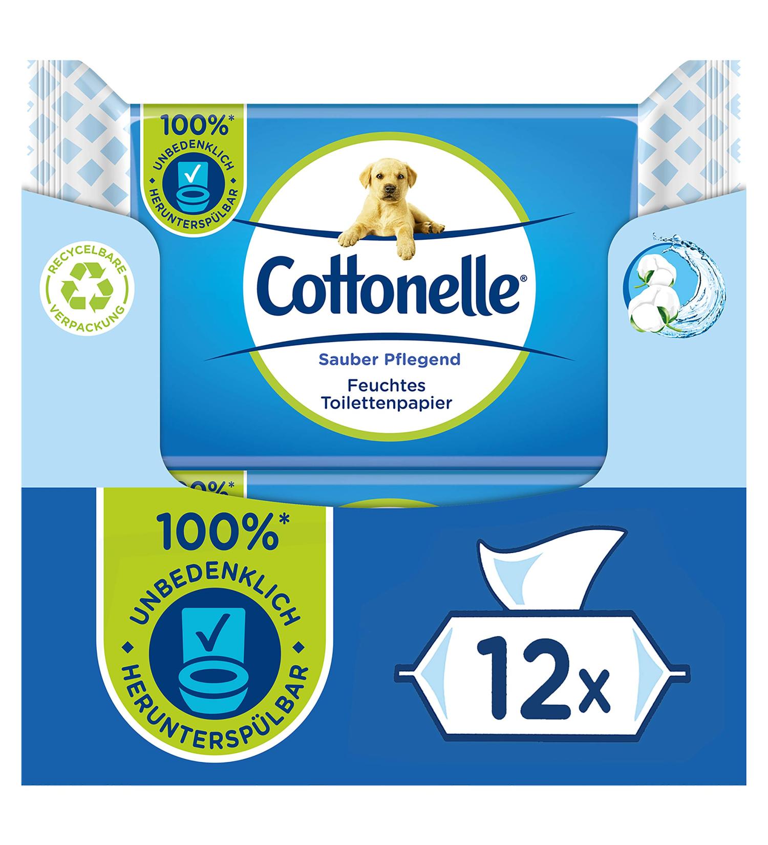 Buy Cottonelle Moist Toilet Paper - Biodegradable Wet Wipes with Cotton Fragrance | 12x42 Pack - Clean & Nourishing | International Shipping Available - Buy Online on GoSupps.com