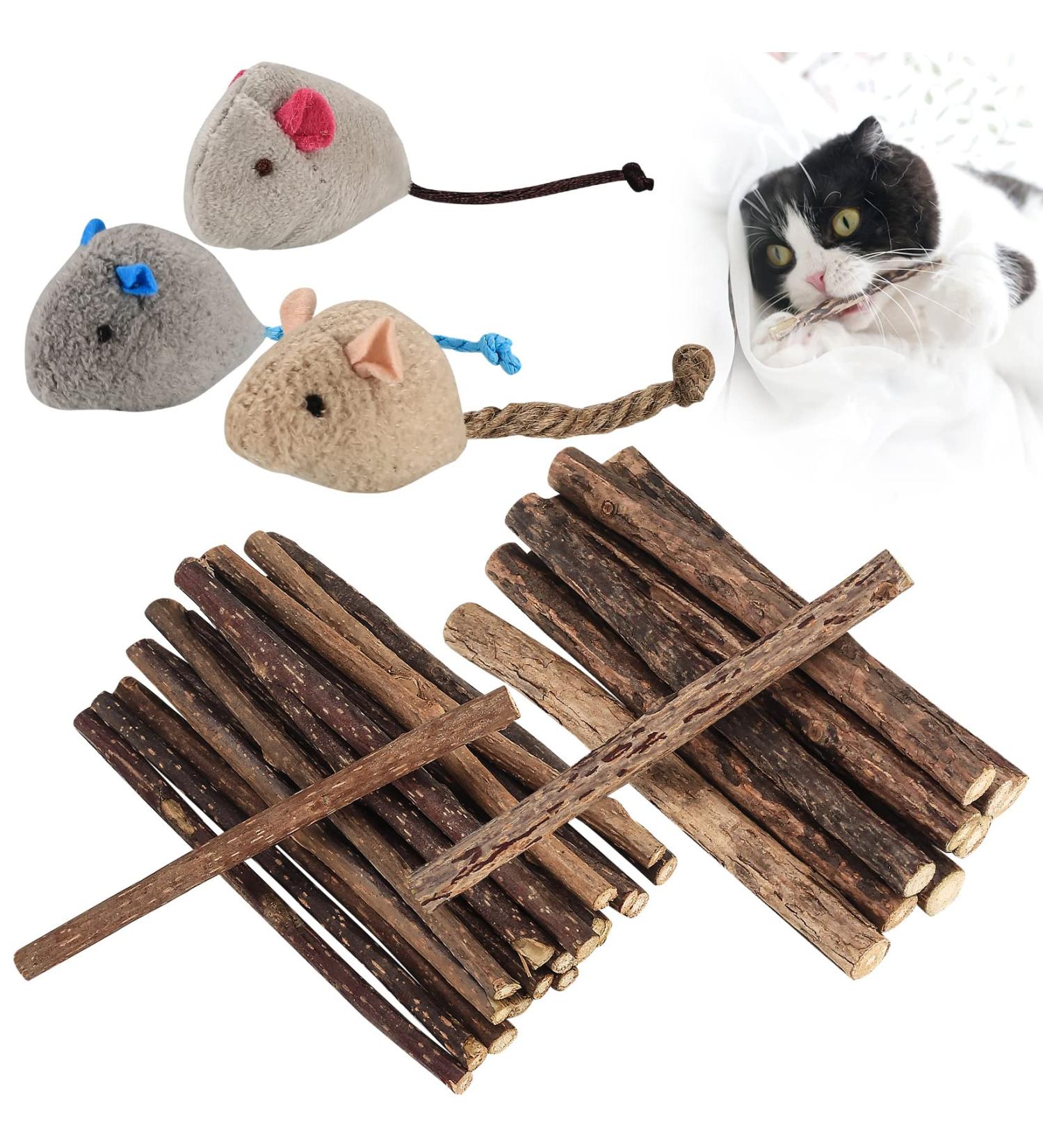 Newoutset 33 Pcs Cat Catnip Sticks Cat Catnip Chew Toys Natural Silvervine Matatabi Catnip Sticks Toys Cat Kitten Teething Toys Sticks for Cat Kitten Teeth Cleaning Including 3 x Cat Mouse Toy - Buy Online on GoSupps.com