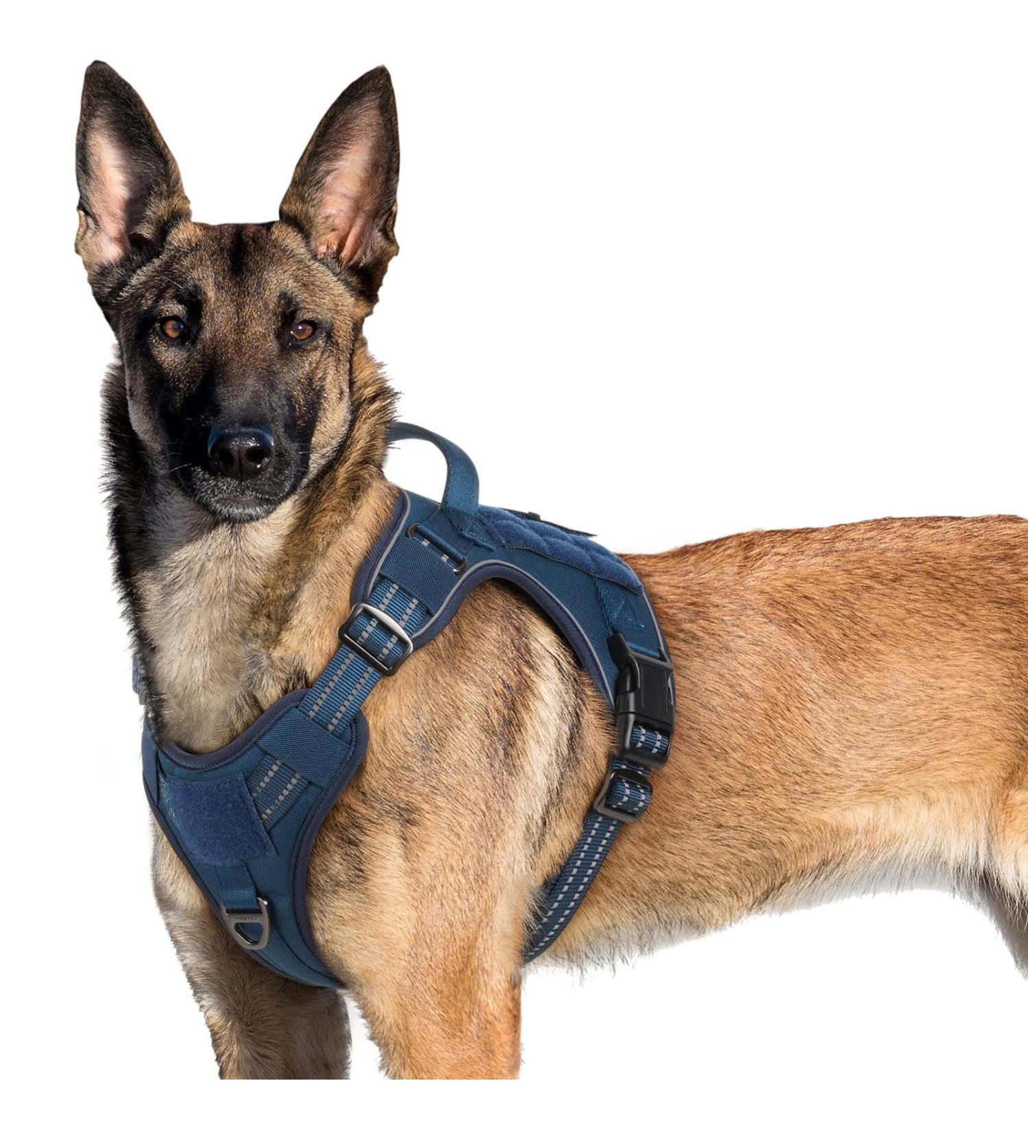 Rabbitgoo XL Dog Harness for Large Dogs | Adjustable Tactical Harness with Handles & Metal Buckles | Durable & Wear-Resistant for Hiking - Blue - Buy Online on GoSupps.com