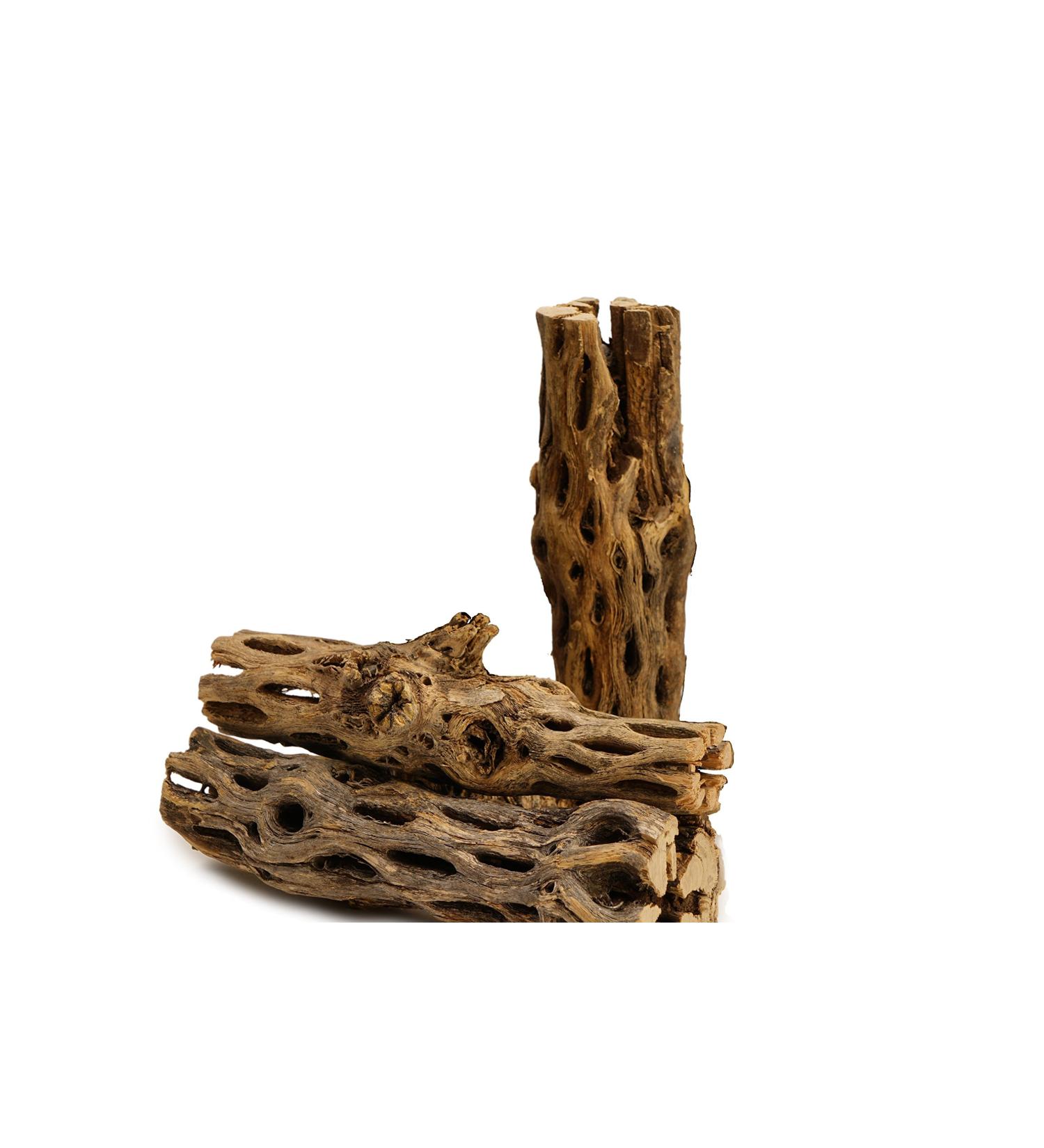 NApremium Natural Cholla Wood. Long Natural Cholla Wood for Aquarium Decoration  Hermit Crabs  Shrimp. 3x 5-6 Inch Cholla - Buy Online on GoSupps.com