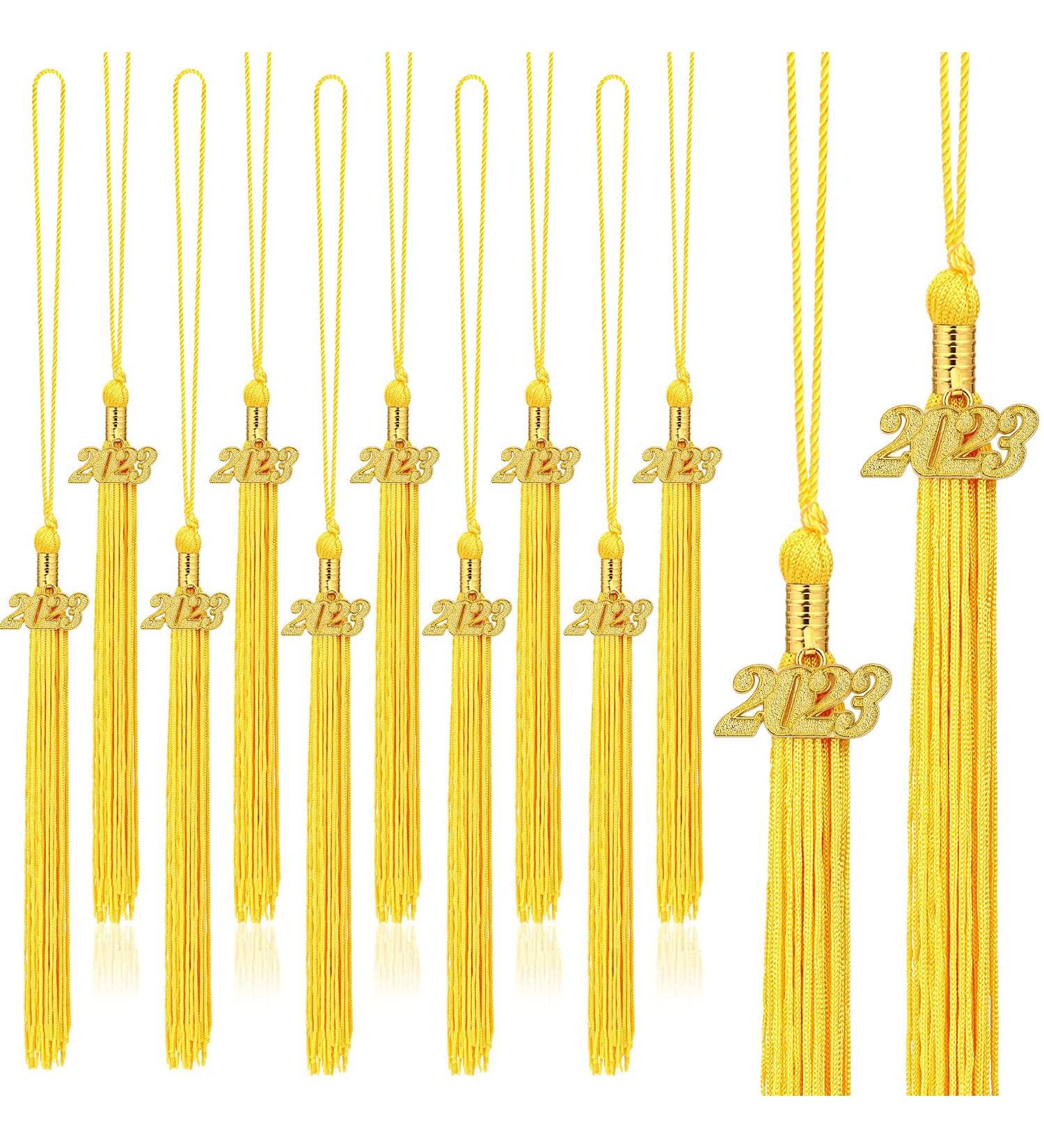 20Pcs Graduation Tassels Academic Graduation Cap Hat Tassel with 2023 Gold Charm for 2023 Graduation Ceremonies Accessories (Gold) - Buy Online on GoSupps.com