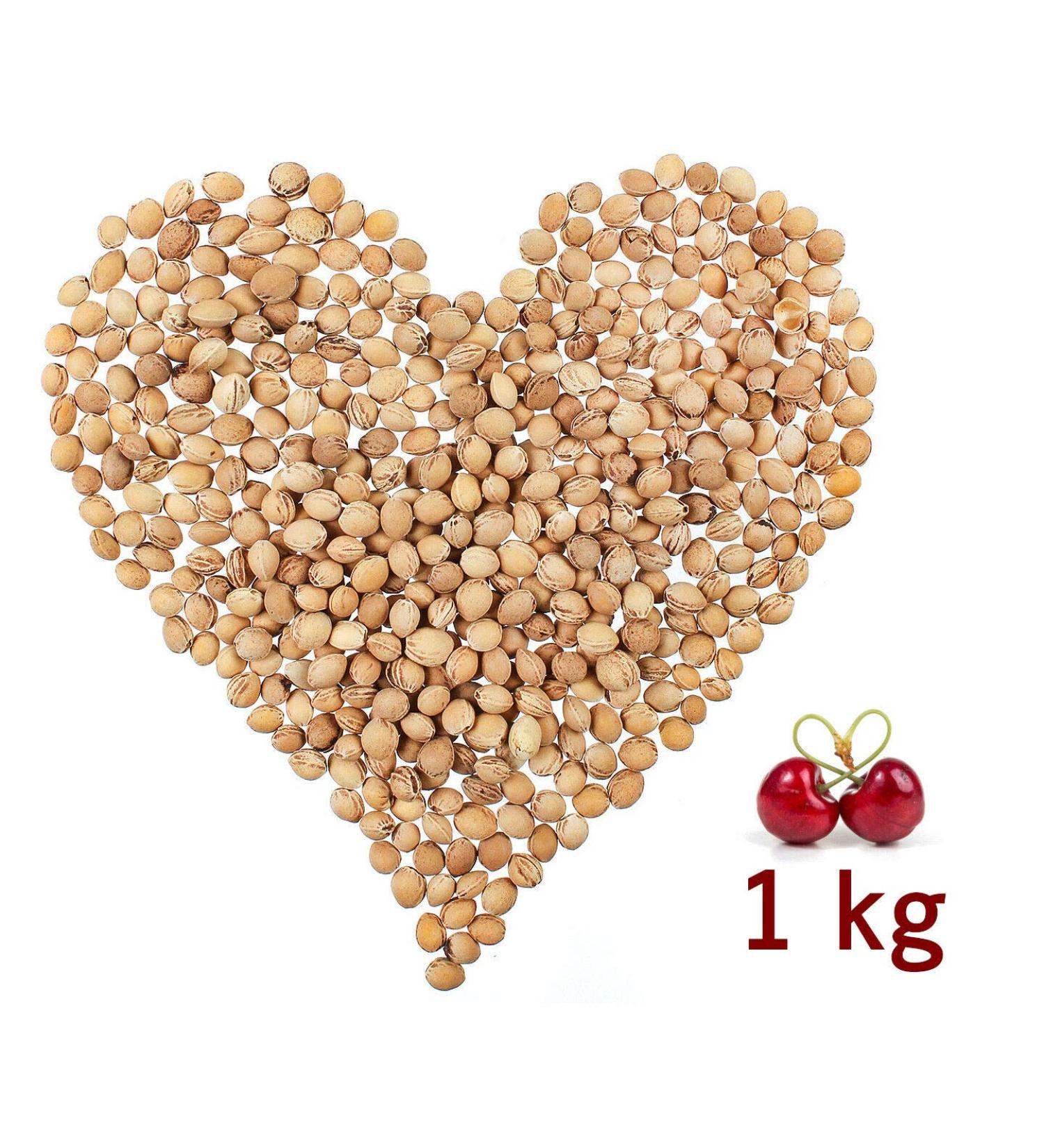 Buy 1 kg Loose Cherry Kernels - Premium Quality for Cooking & Baking | International Shipping Available - Buy Online on GoSupps.com