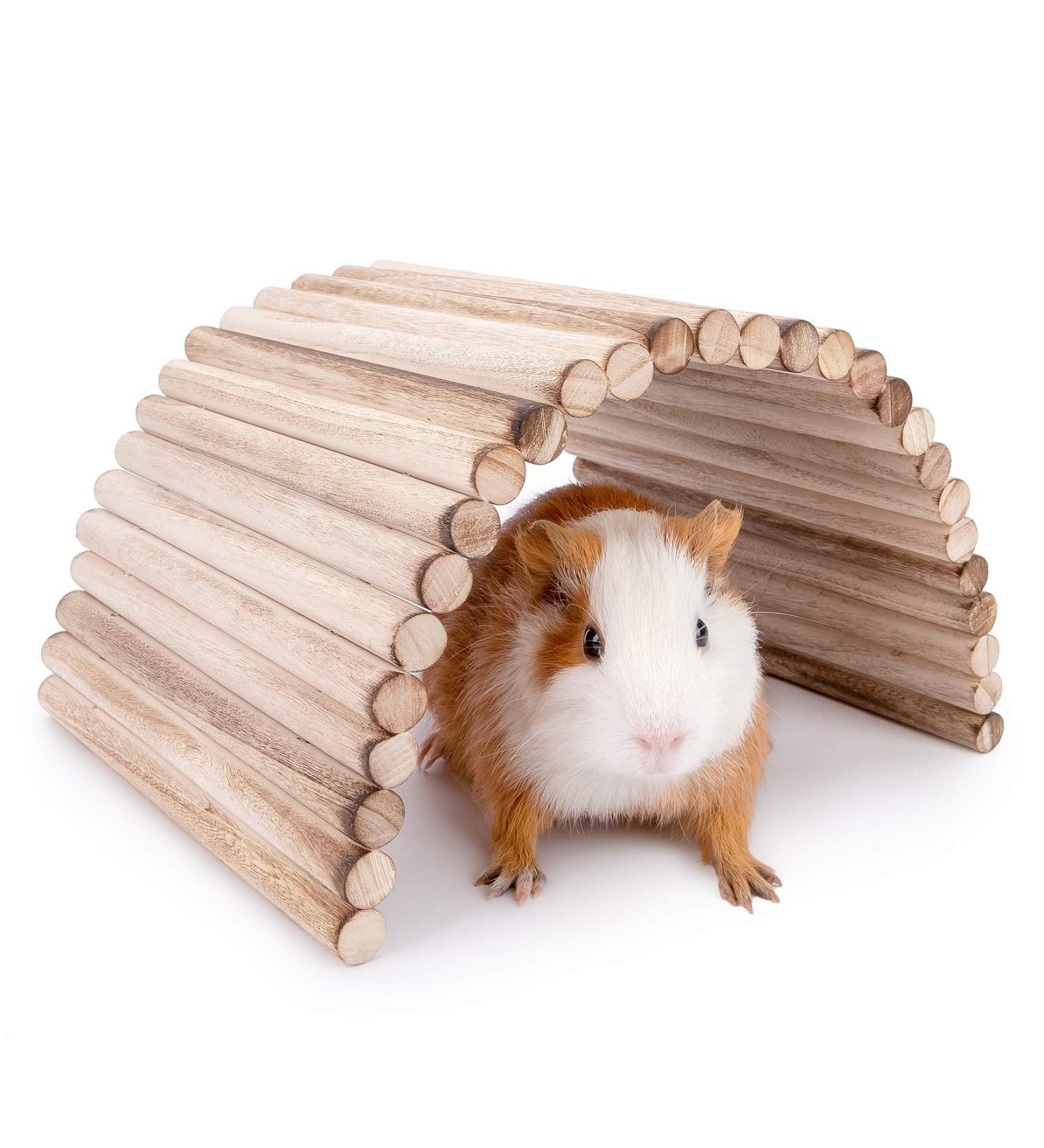Niteangel Small Animal Climbing Suspension Bridge Ladder - Ideal for Hamsters, Gerbils, Mice, Rats, Guinea Pigs - 15.7'' x 7.8 - Buy Online on GoSupps.com