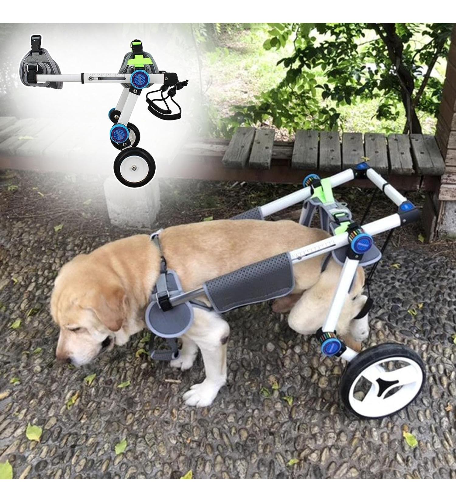 Dog Wheelchair Dog Wheelchair for Back Legs Aluminum Alloy Pet Wheelchair Lightweight Walk Tool Large/Medium Dog Cart Aids Wheelchair Portable XS LW - Buy Online on GoSupps.com