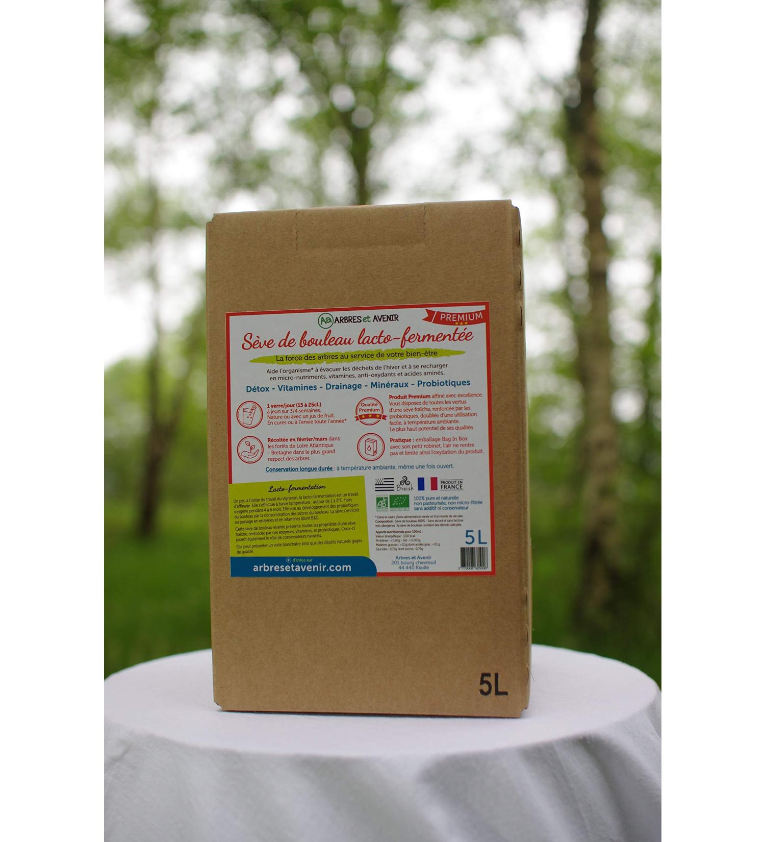 5 LITERS - PREMIUM LACTO-FERMENTED BIRCH SAP - TREES AND FUTURE - Organic and Plant-Based Drink 100% Natural Detox Drink - Buy Online on GoSupps.com