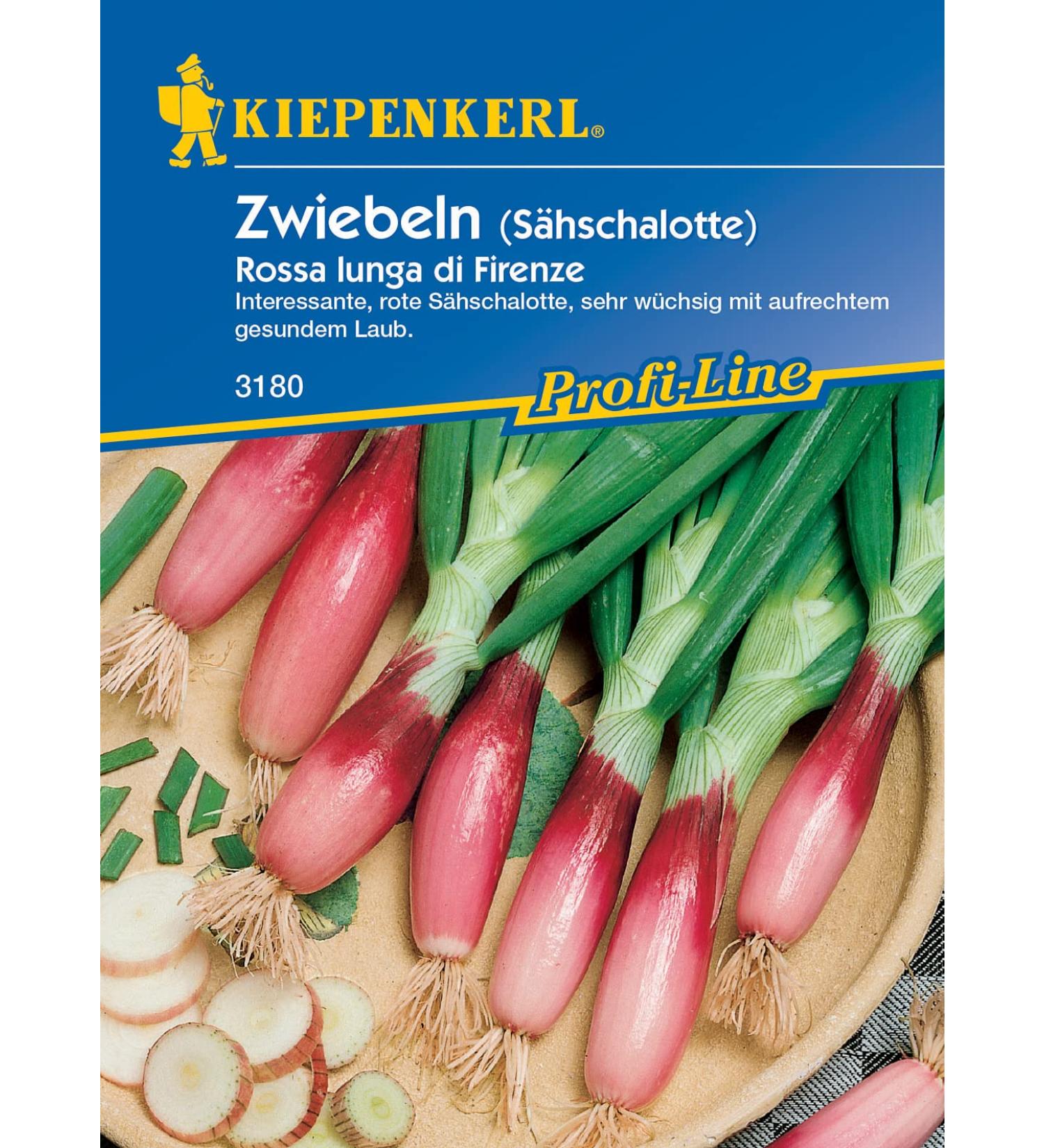 Buy Rossa Lunga di Firenze Red Spring Onions | Fresh Italian Onions for International Shipping - Buy Online on GoSupps.com
