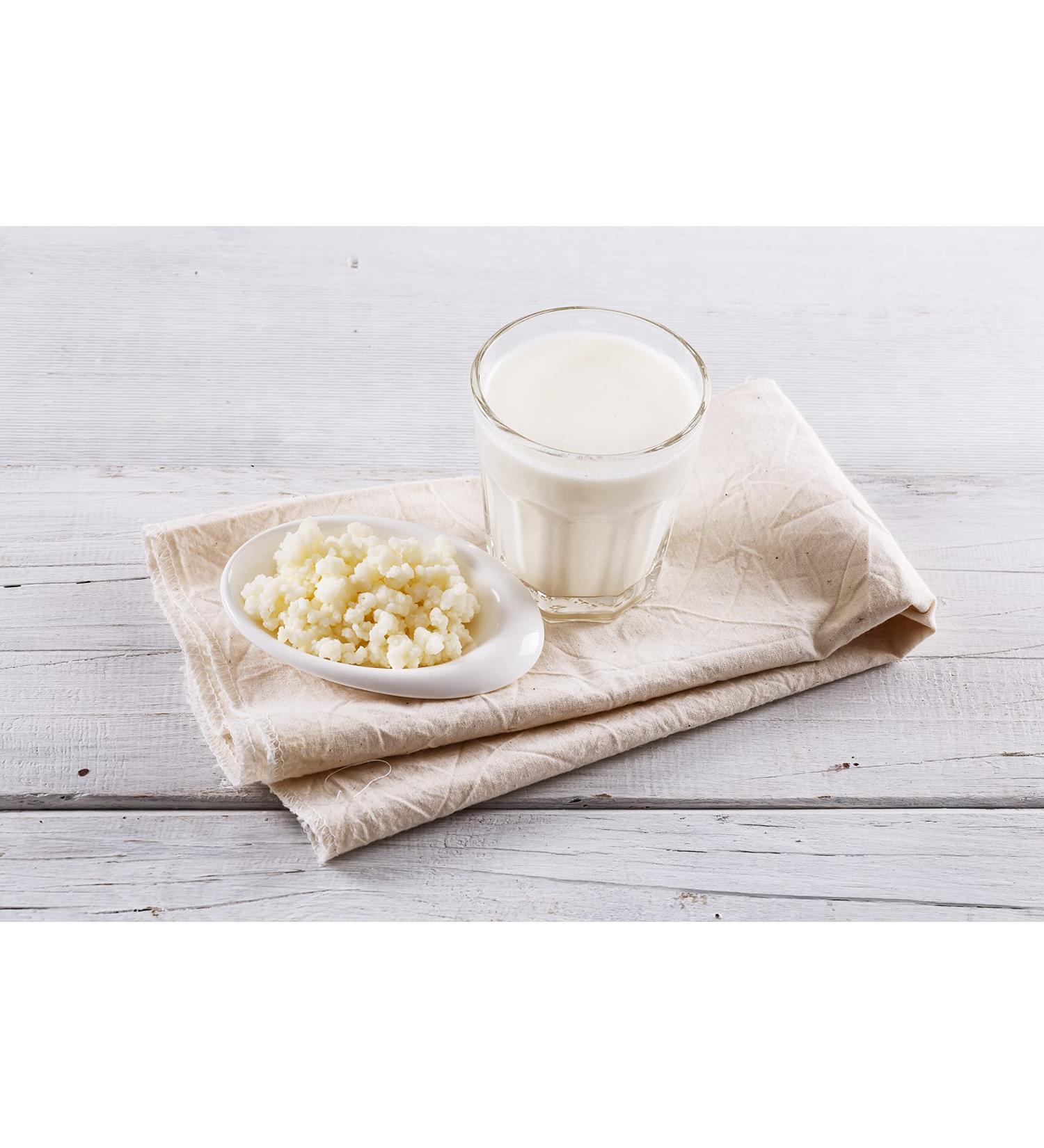 Kombuchaorganic Organic Milk Kefir Grain - Premium Tibetan Mushrooms (20g) - High-Quality Probiotic Culture for Gut Health - Buy Online on GoSupps.com