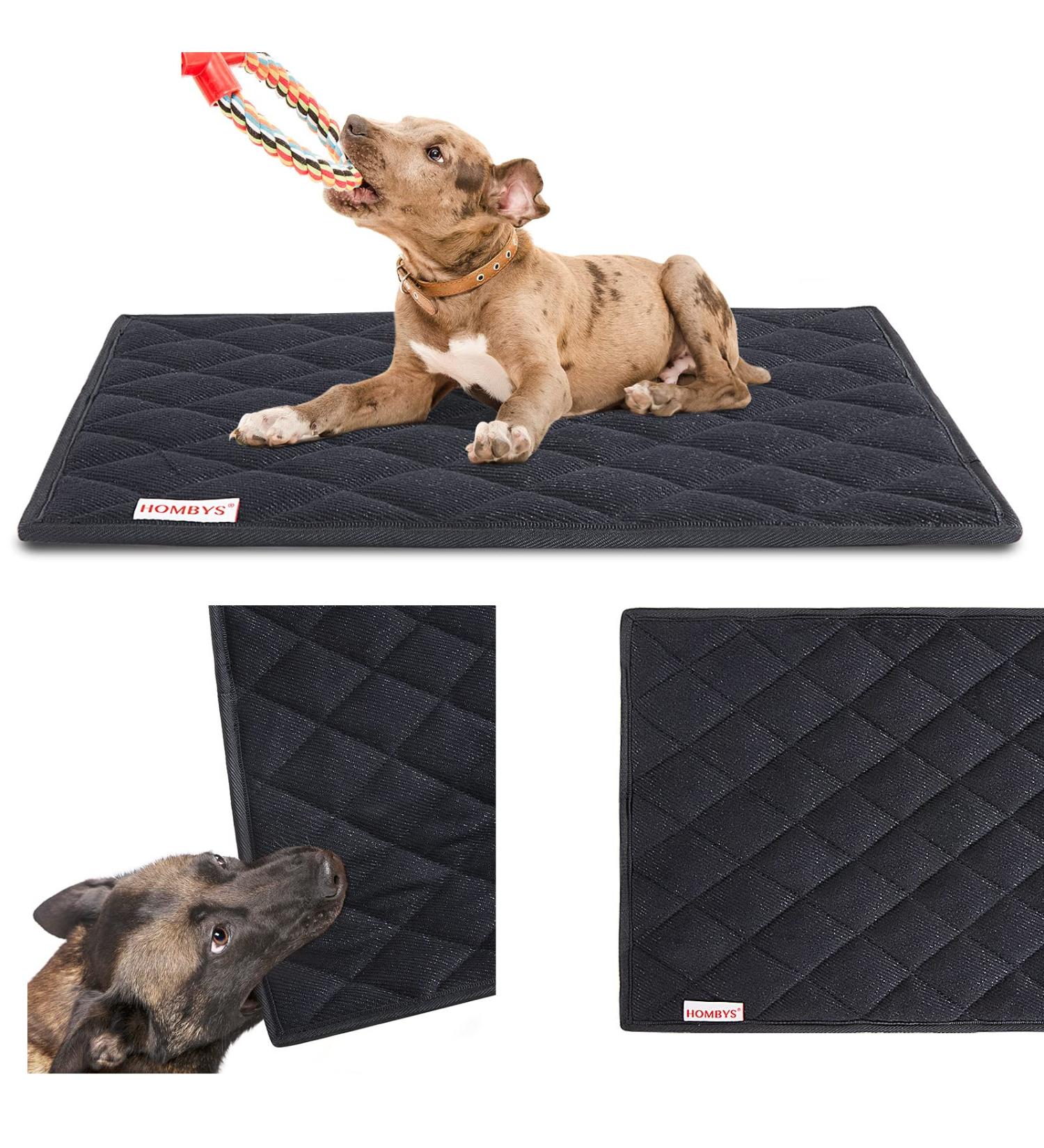 HOMBYS Chew Proof Dog Crate Pad 41x28 - Durable and Comfortable - Buy Online on GoSupps.com