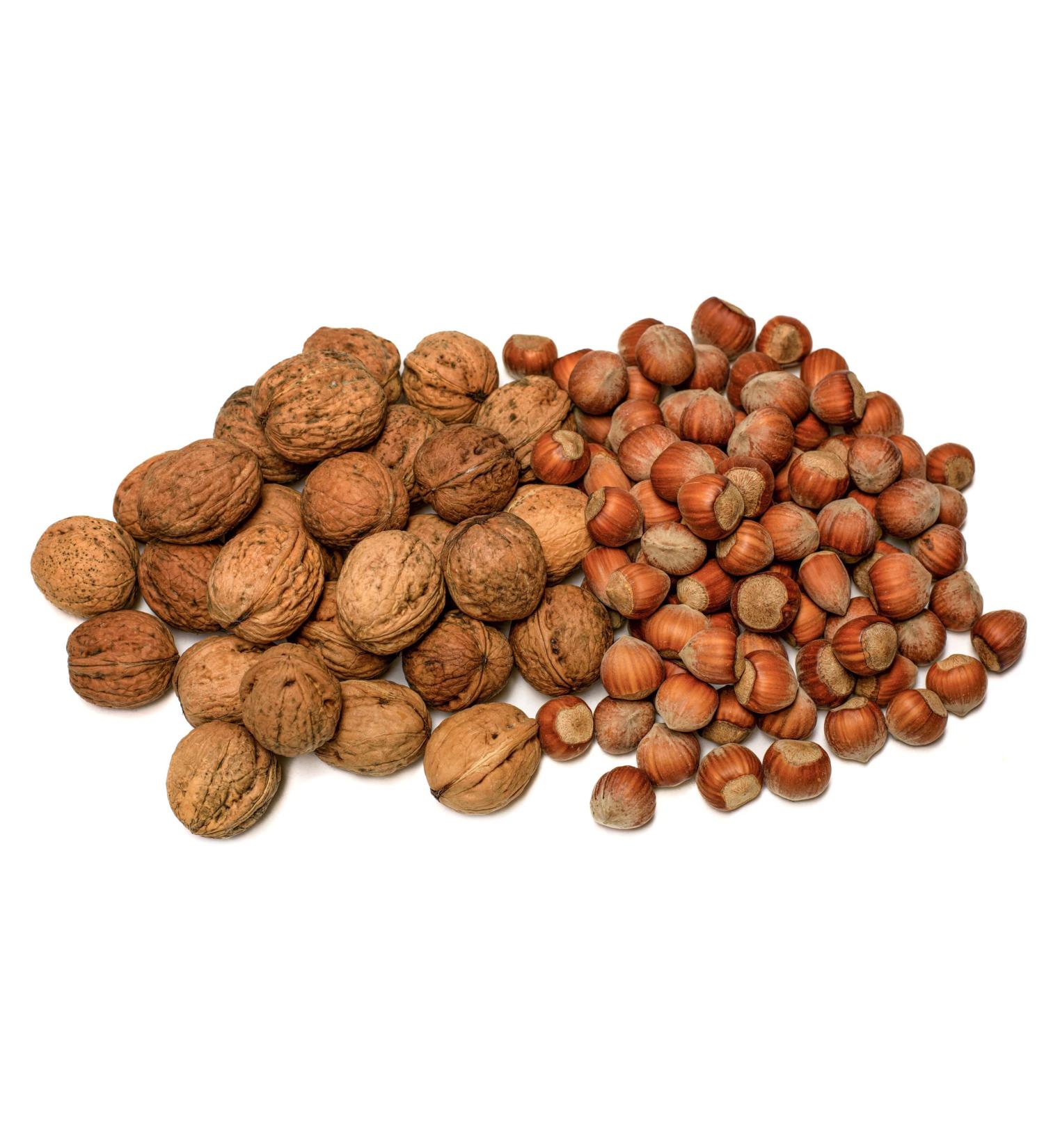 Buy Igart Hazelnuts 5kg & Walnuts 10kg | Eco Quality | Harvest 2023 | Natural Delicacies | Supernut Mix | Untreated Nuts - Buy Online on GoSupps.com