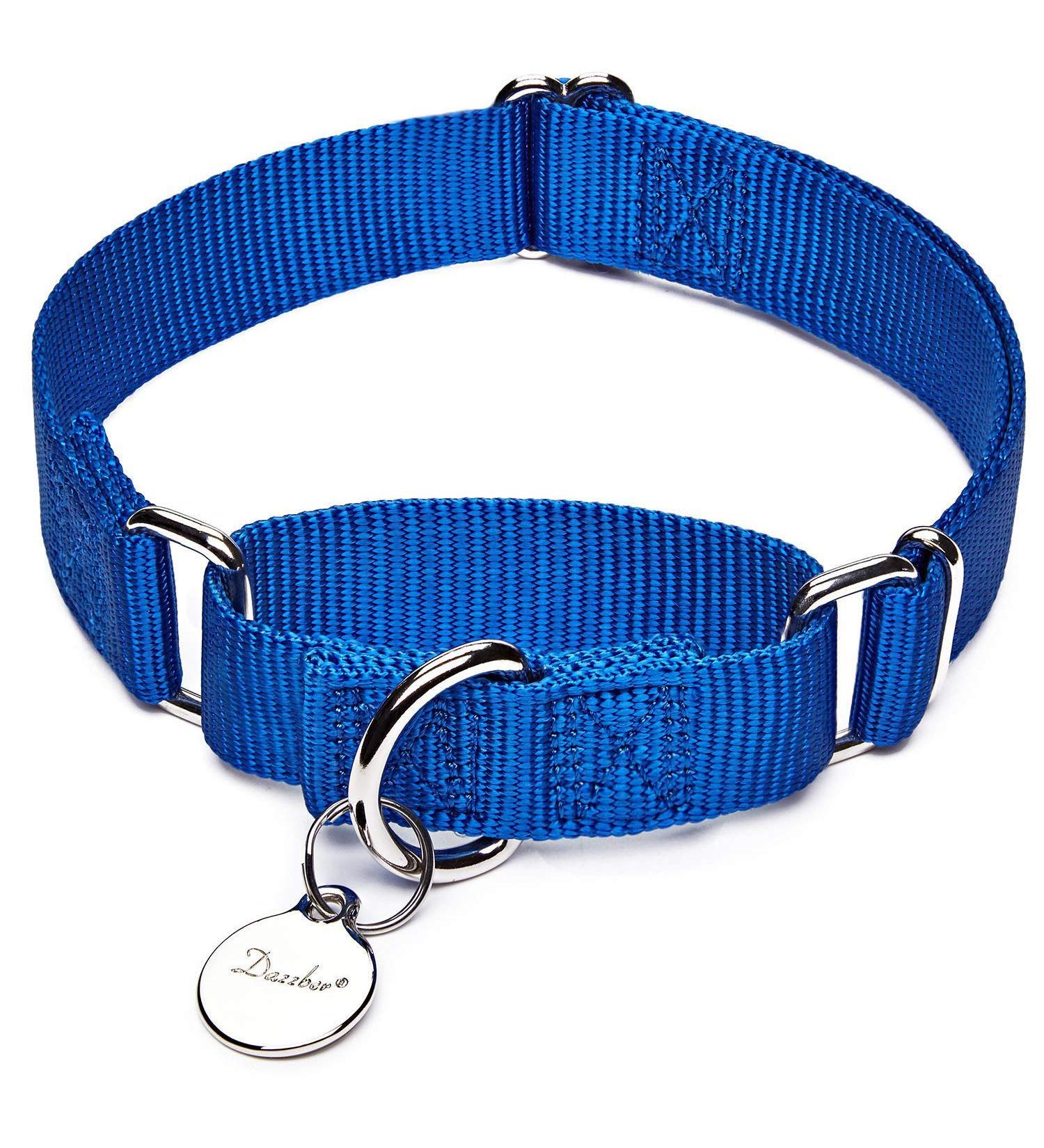 Dazzber Martingale Neck Band for Medium Dogs - Royal Blue No Pull No Escape Ideal for Training & Walking (Size M: 35.6-53.3 cm) - Buy Online on GoSupps.com