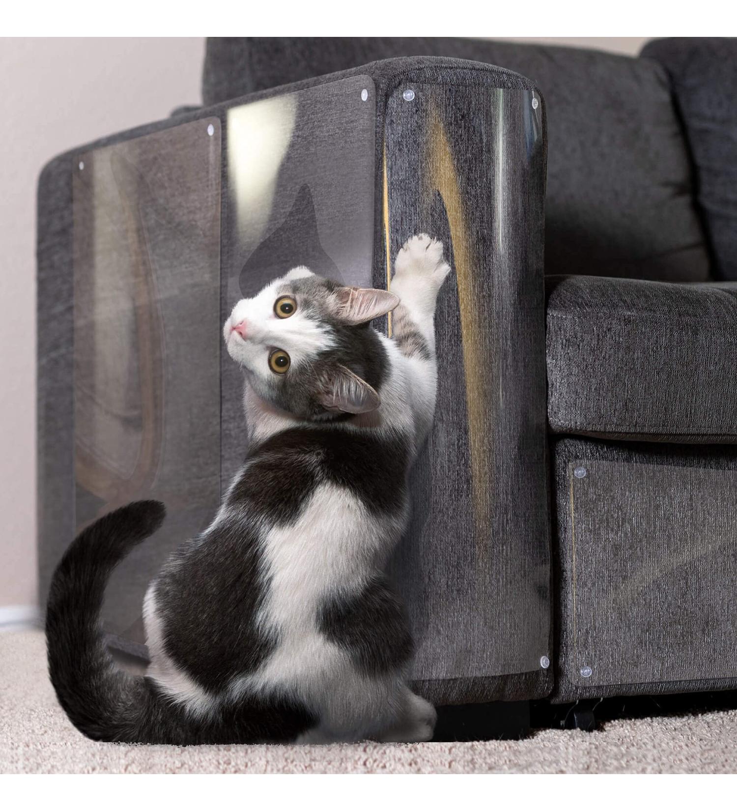 Panther Armor 8-Pack Furniture Protectors from Cats Scratch - Couch Protector for Cats - Anti Cat Scratch Furniture Protector - Couch Guards for Cats - Sofa Corner Scratching Training Tape Deterrent - Buy Online on GoSupps.com