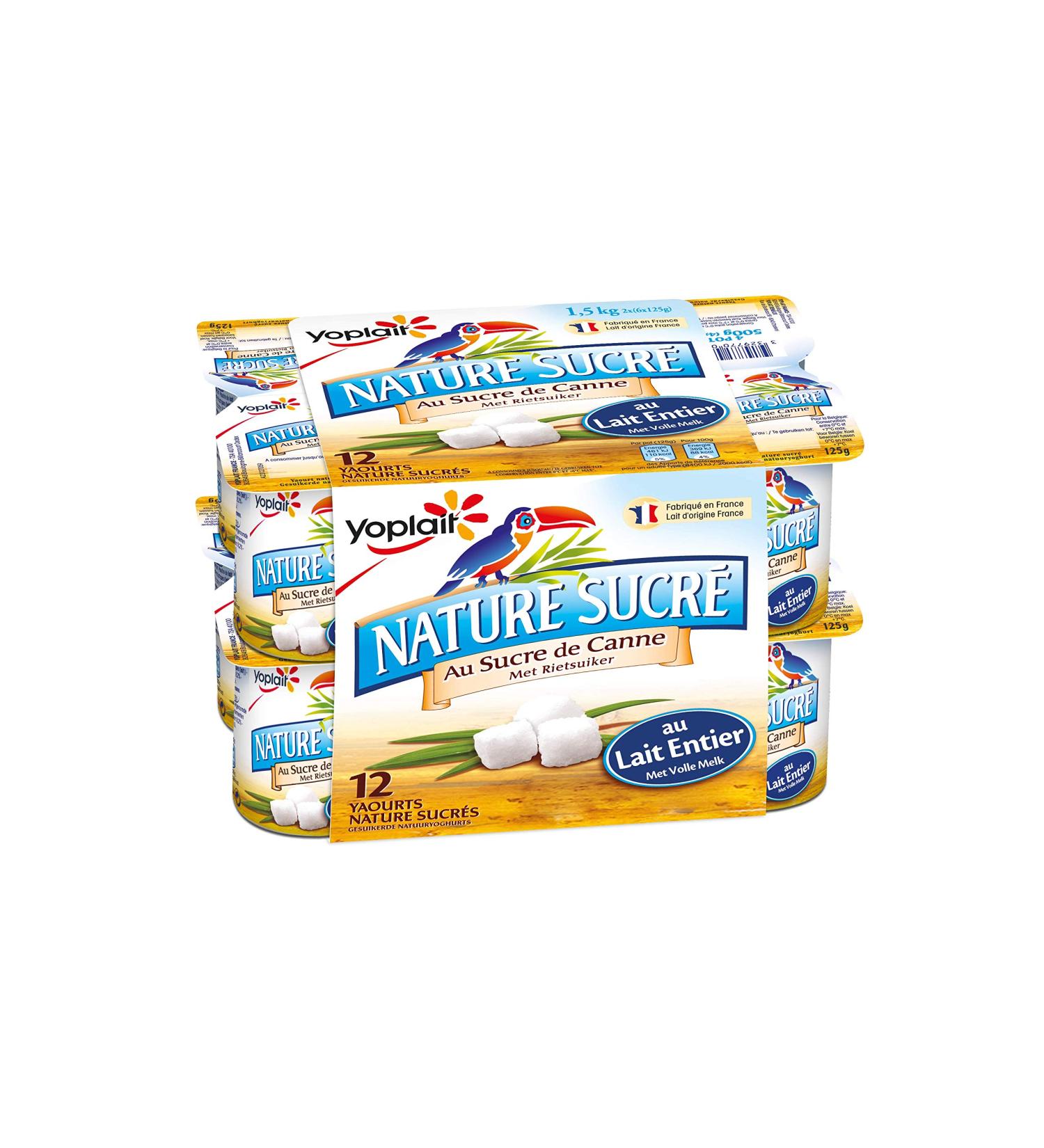 Yoplait Yaourt Nature Sucre 12 x 125 g