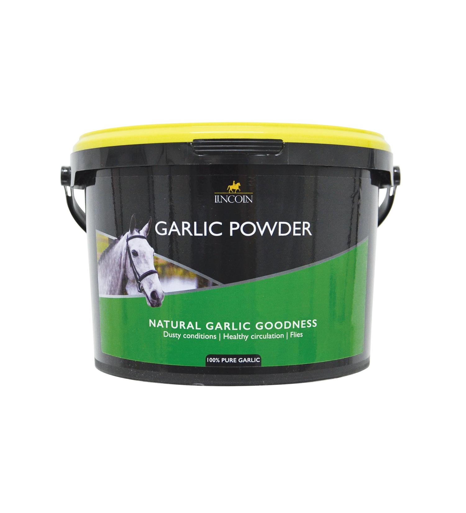 Lincoln Garlic Powder - 2kg
