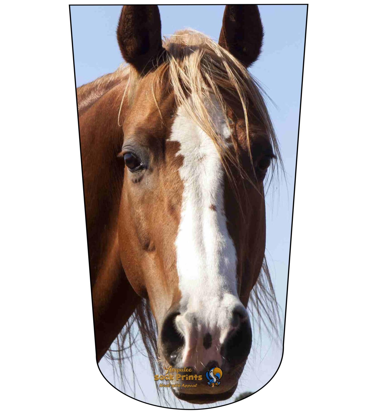 Amputee Sock BTKA Horse Headshot V1 3ply Stump Sock - Multi Color (Small-Large) - Buy Online on GoSupps.com