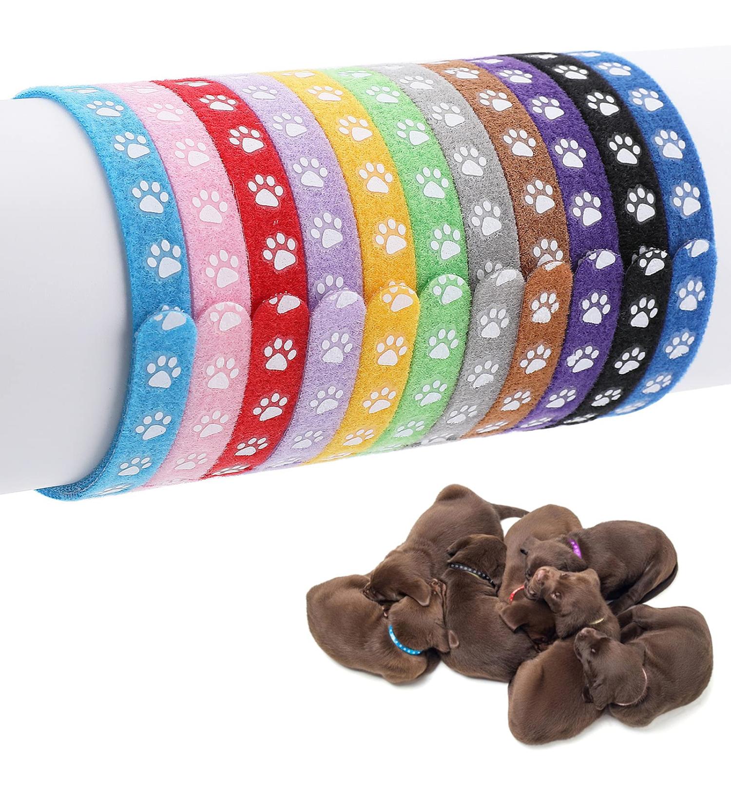 Buy Molain 12-Piece Adjustable Puppy Neck Bands - ID Neck Straps for Small Dogs & Cats - Colorful Identification Bands for Kittens & Puppies (30cm) - Buy Online on GoSupps.com