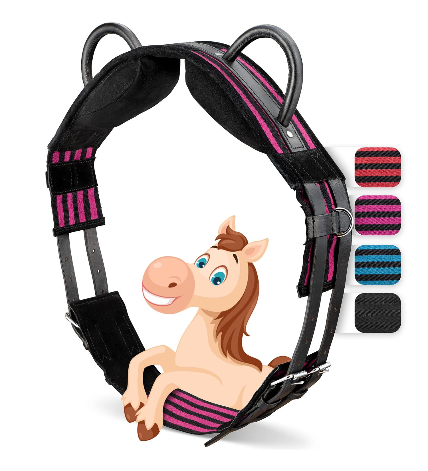 Esposita Riding Strap with 2 Leather Handles - Versatile Lunging & Vaulting Belt for Children and Riders - Shetty Pink-Black - Buy Online on GoSupps.com