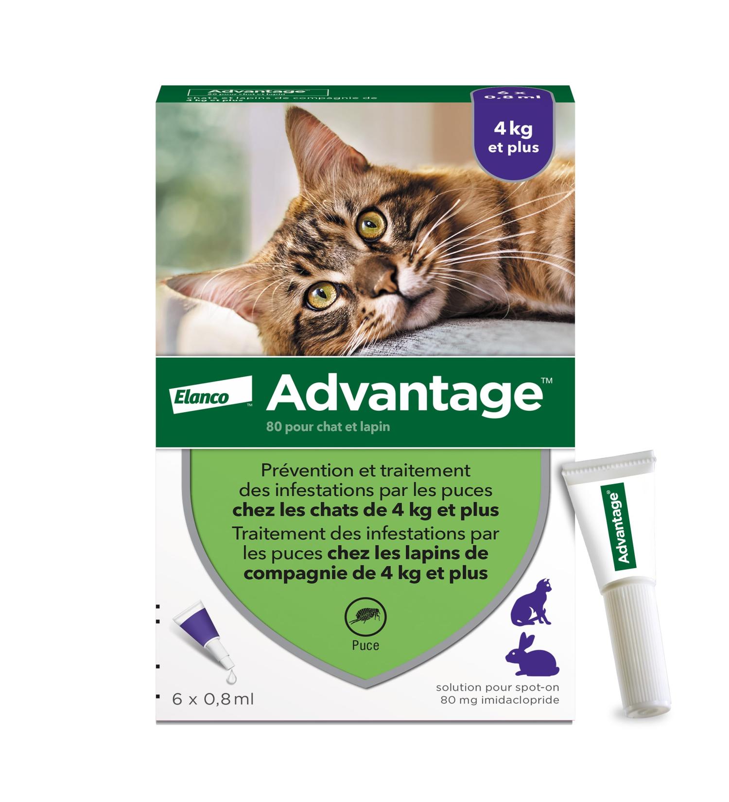 Advantage Cat & Rabbit over 4 kg Cat flea pipettes for prevention of infestations Flea treatment with 3 to 4 weeks protection 6 x 0.8 ml - Buy Online on GoSupps.com