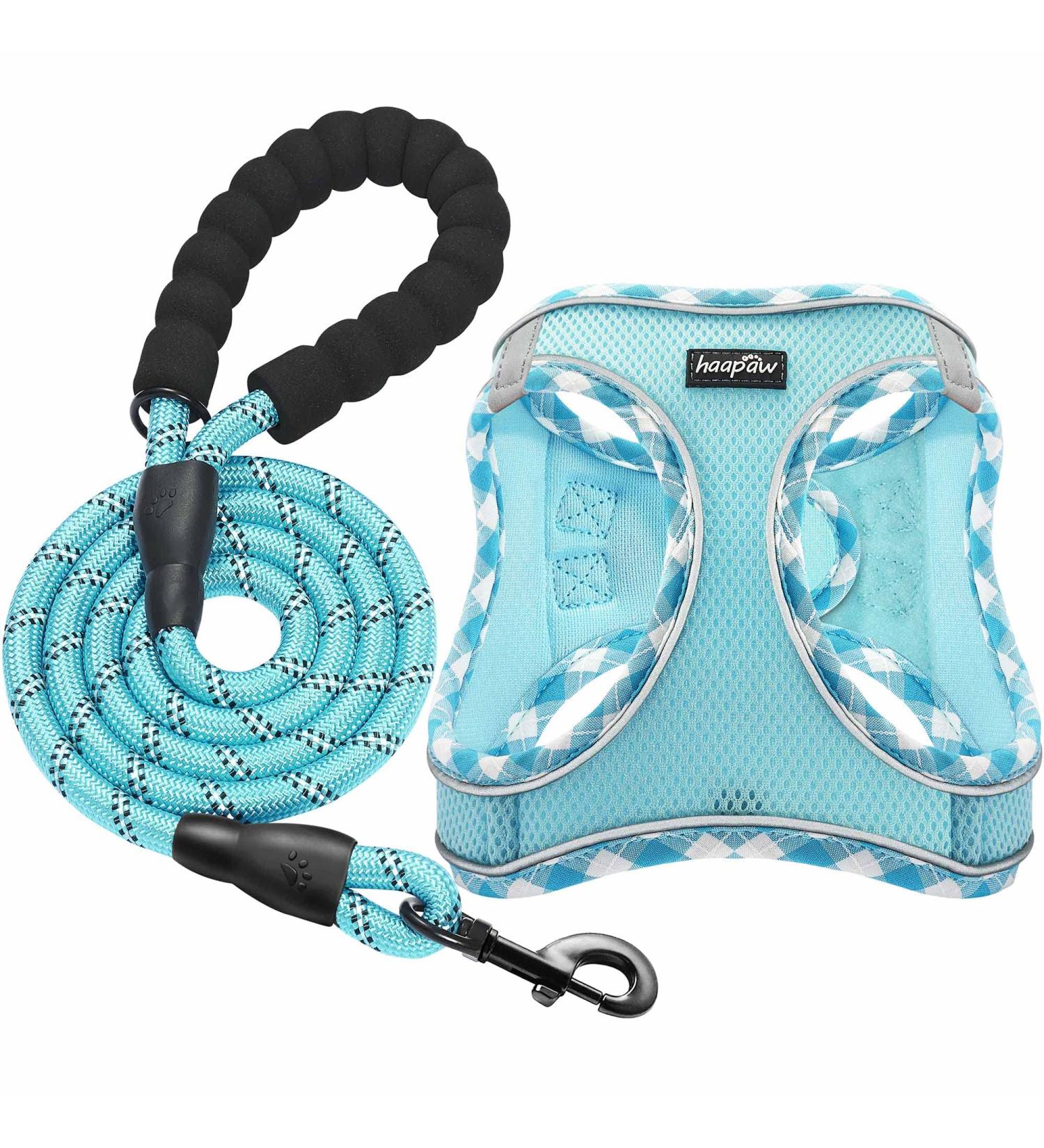 Haapaw Adjustable Dog Harness & Leash Set - No Pull Reflective Step-In Vest for Extra Small & Small Medium Dogs - Turquoise Breath 45.7-50.8 cm Weight 6.4-8.6 kg - Buy Online on GoSupps.com