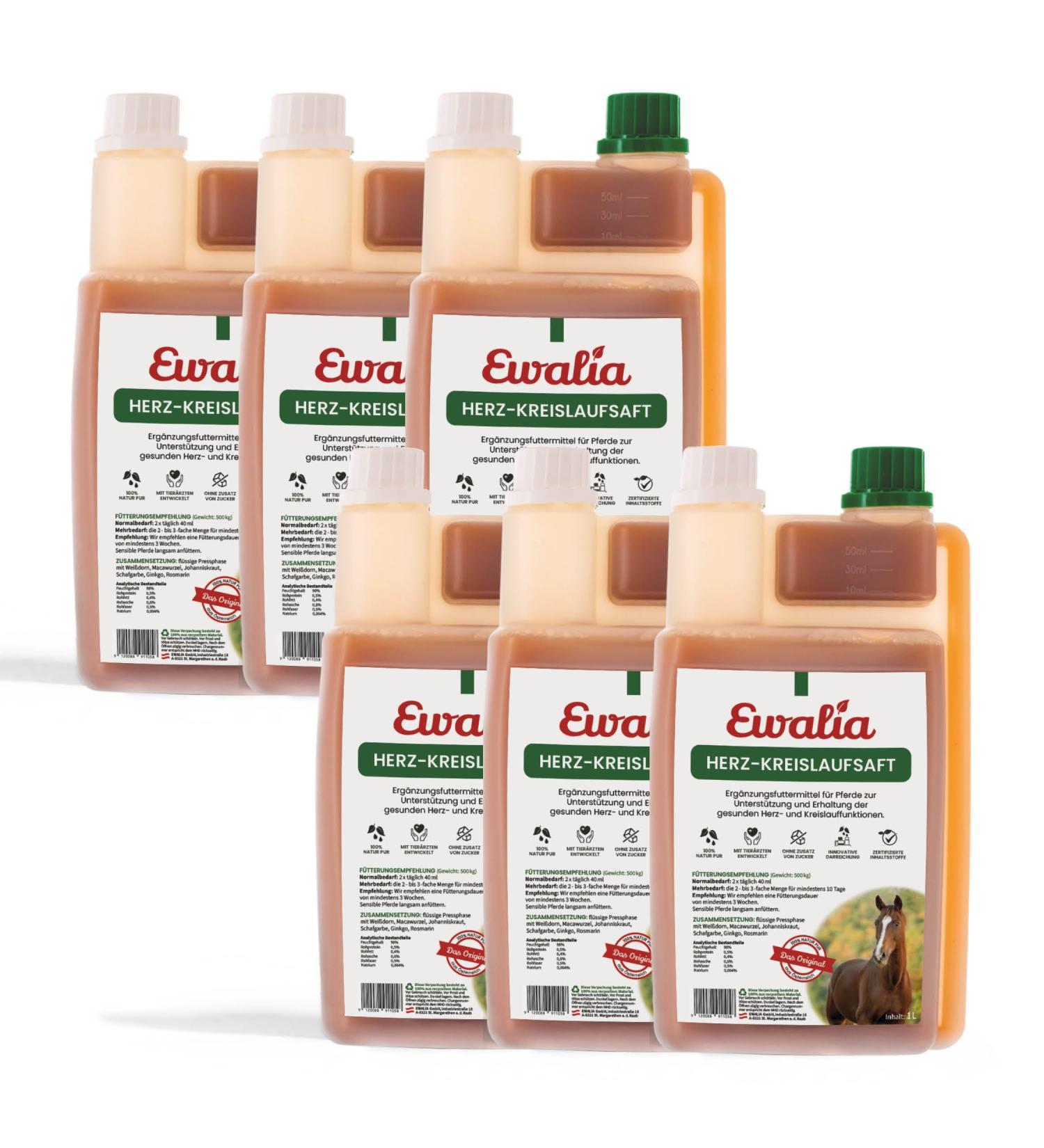 Ewalia Cardiovascular Juice - Optimal Dietary Supplement for Horses Promotes Heart Health Natural Circulatory System Support 100% Herbal Formula 6x1L - Buy Online on GoSupps.com