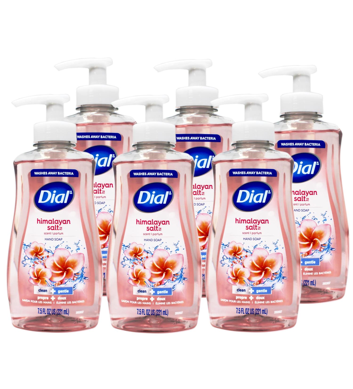 Dial Himalayan Pink Salt & Water Lily Hand Soap with Moisturizer 7.5 Oz (Pack of 6) - Buy Online on GoSupps.com